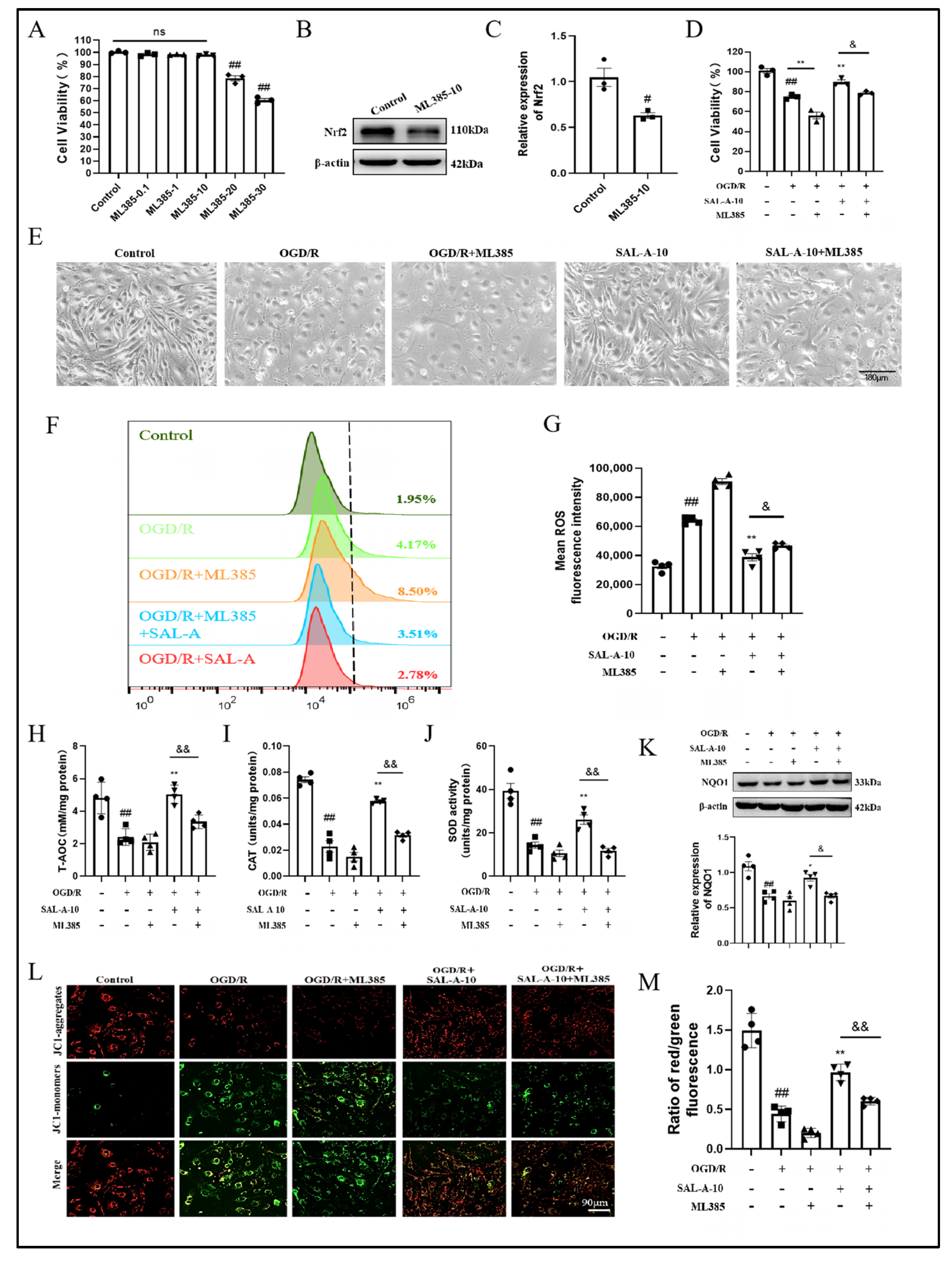 Molecules 30 03266 g004