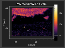 Molecules 30 03268 i007 Molecules 30 03268 i007