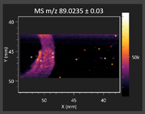 Molecules 30 03268 i008 Molecules 30 03268 i008