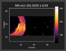 Molecules 30 03268 i010 Molecules 30 03268 i010