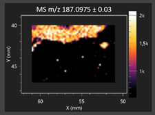 Molecules 30 03268 i011 Molecules 30 03268 i011