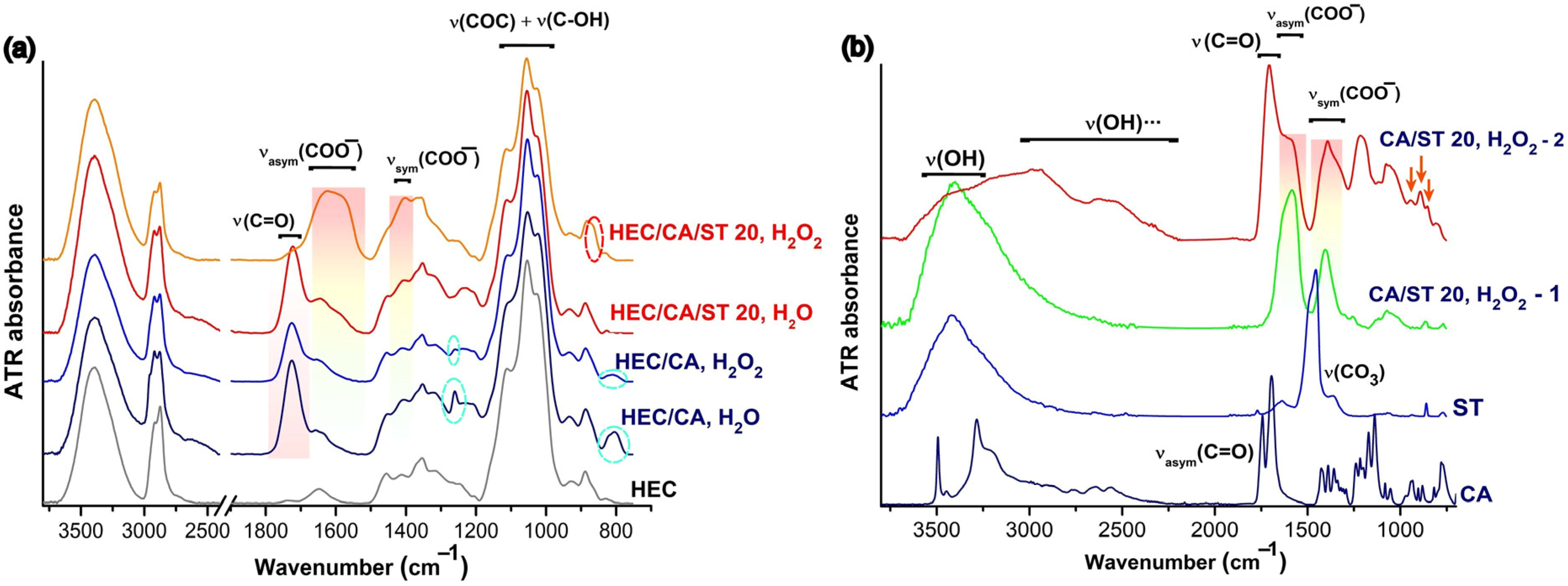 Molecules 30 03271 g001 Molecules 30 03271 g001