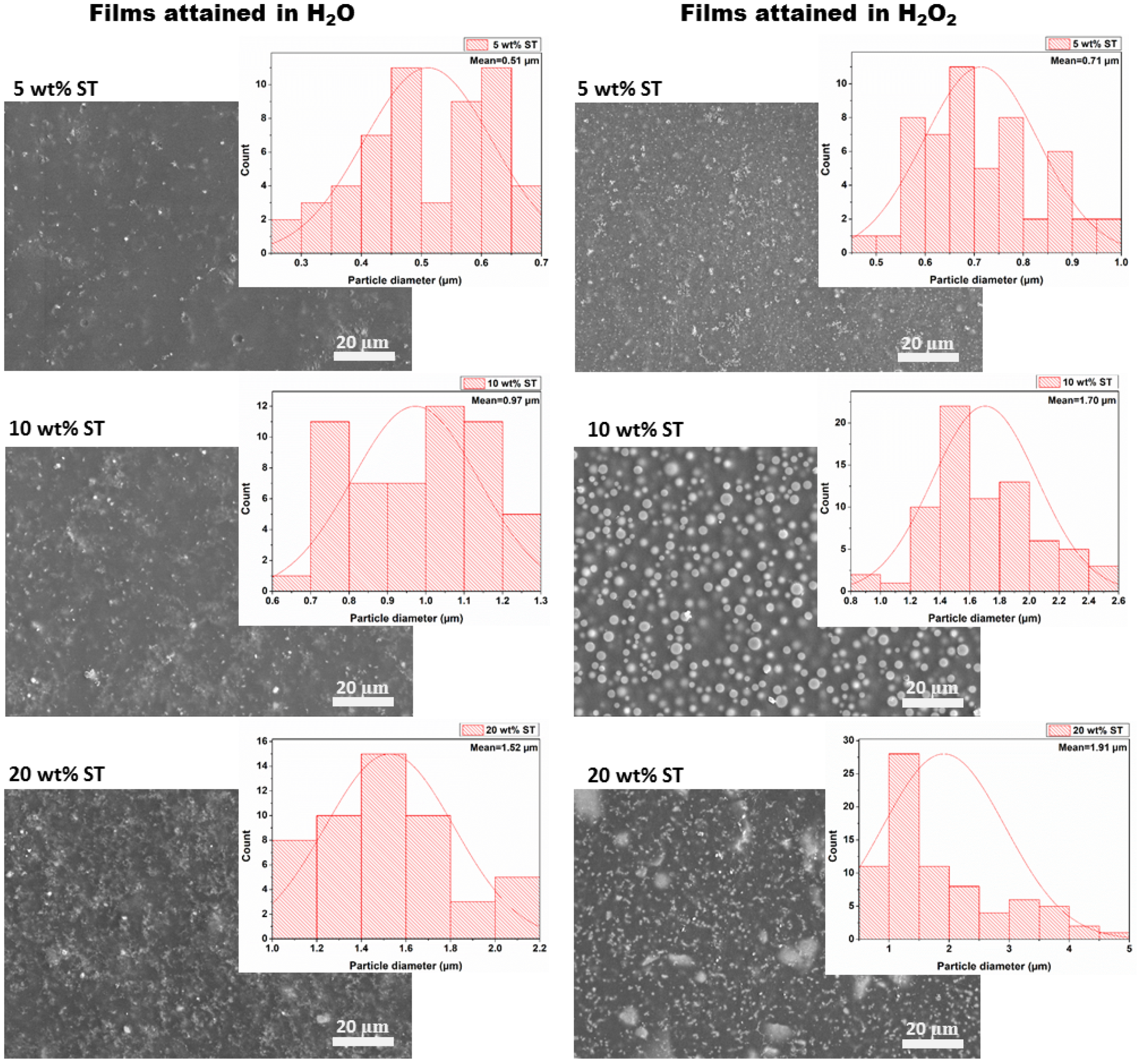 Molecules 30 03271 g002 Molecules 30 03271 g002