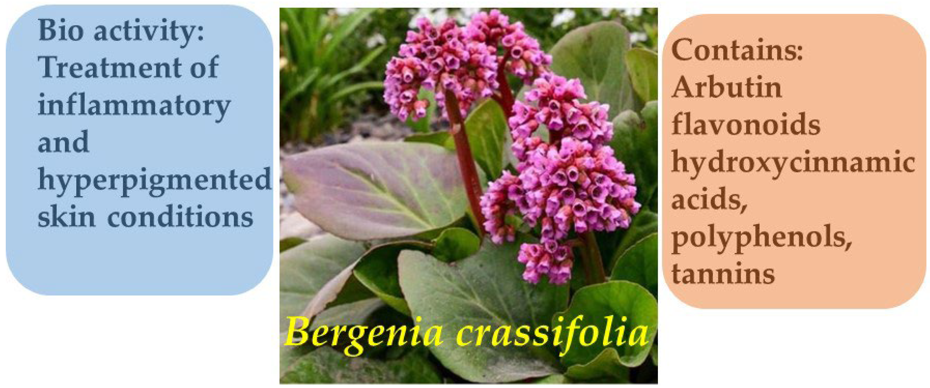 Molecules 30 03281 g002