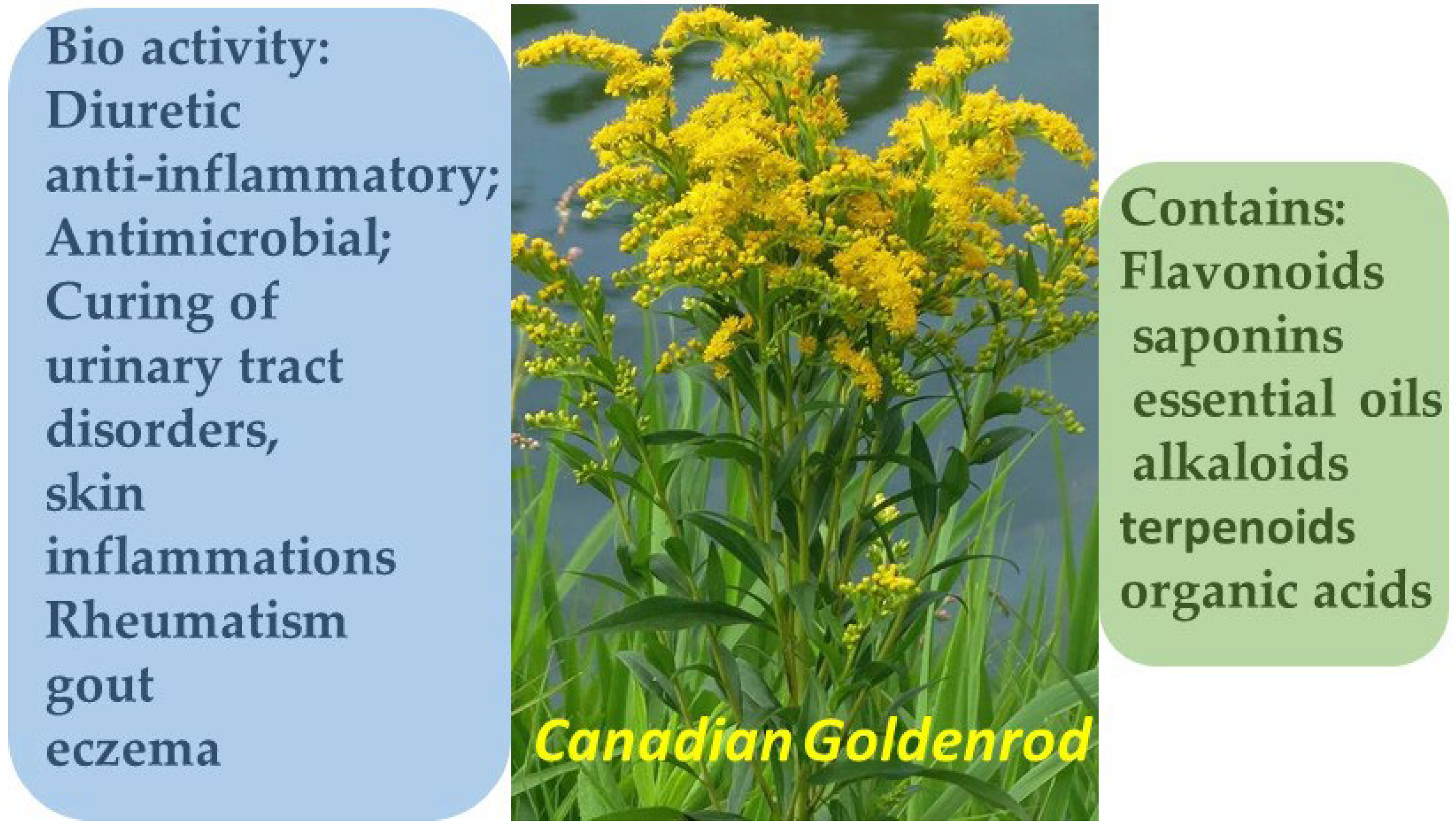 Molecules 30 03281 g005