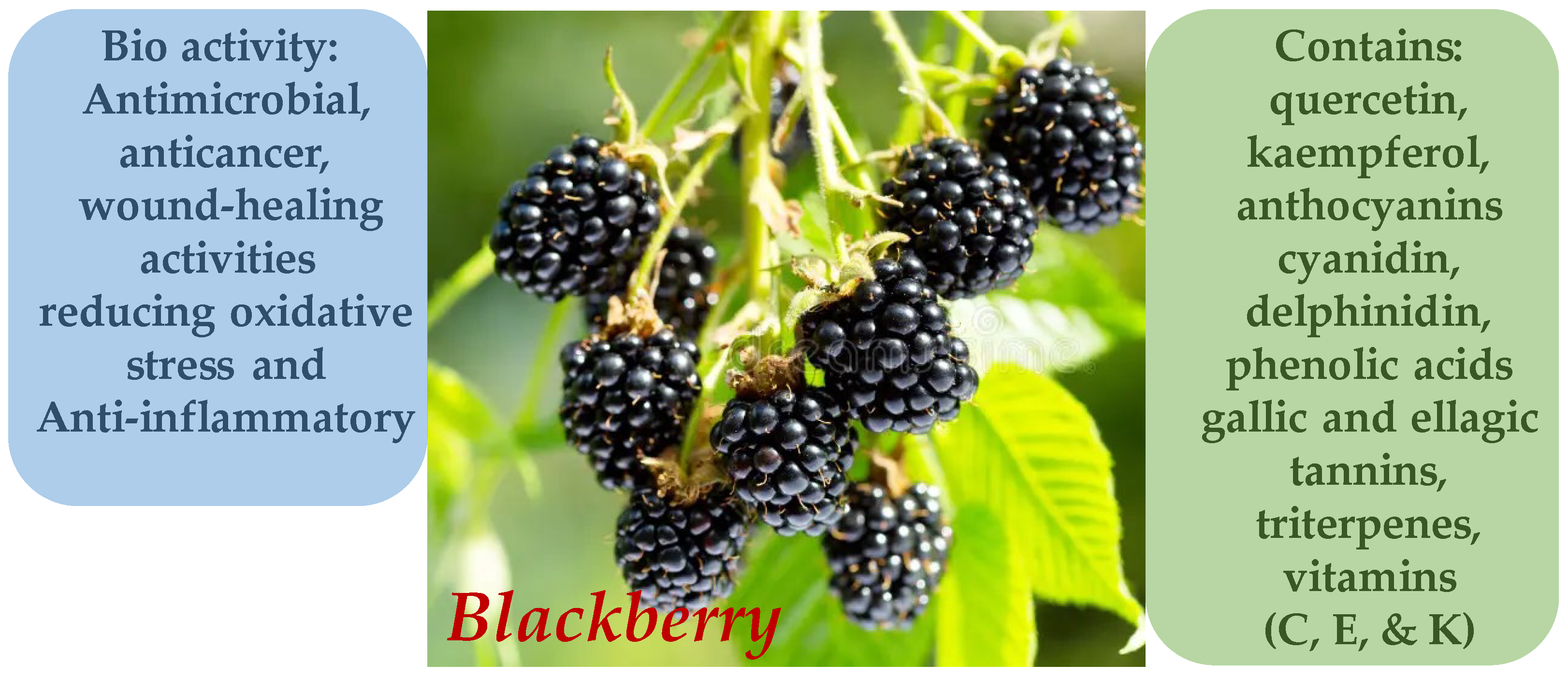 Molecules 30 03281 g009