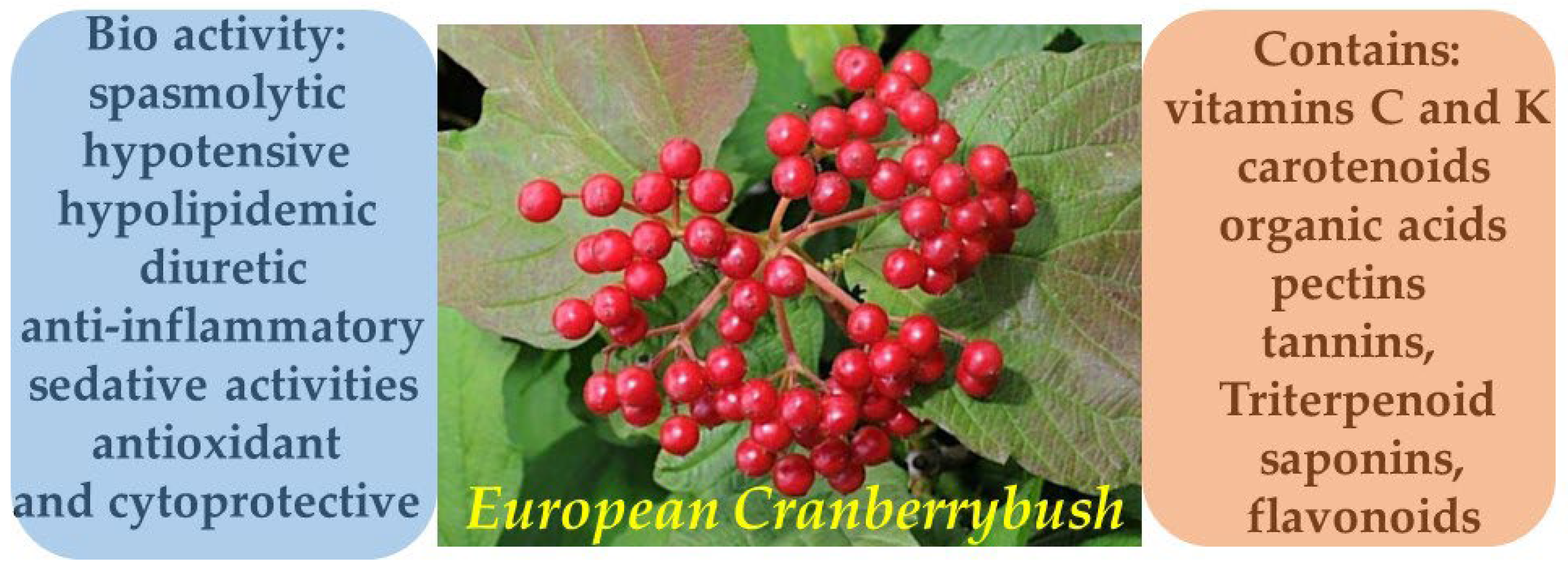 Molecules 30 03281 g012