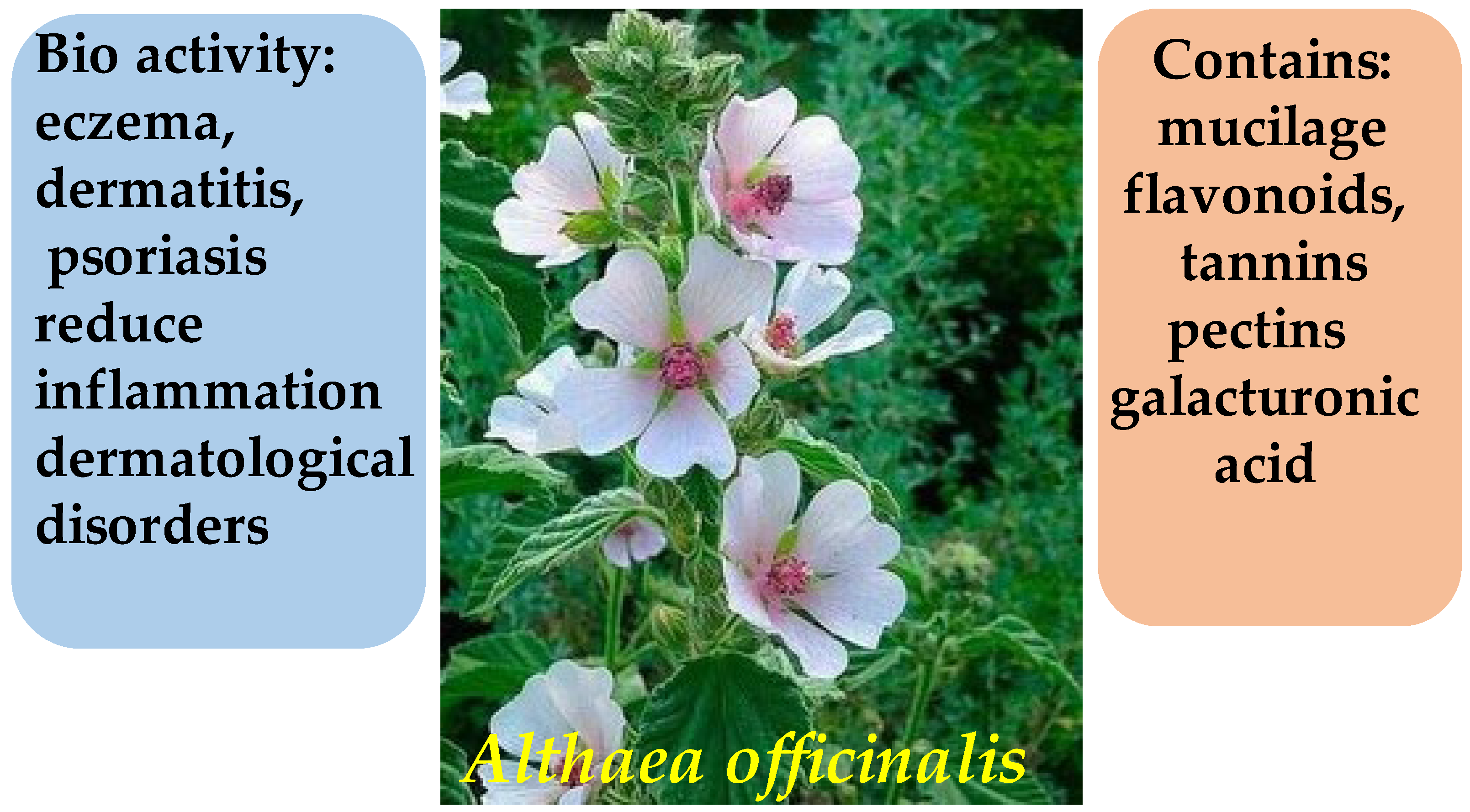 Molecules 30 03281 g018