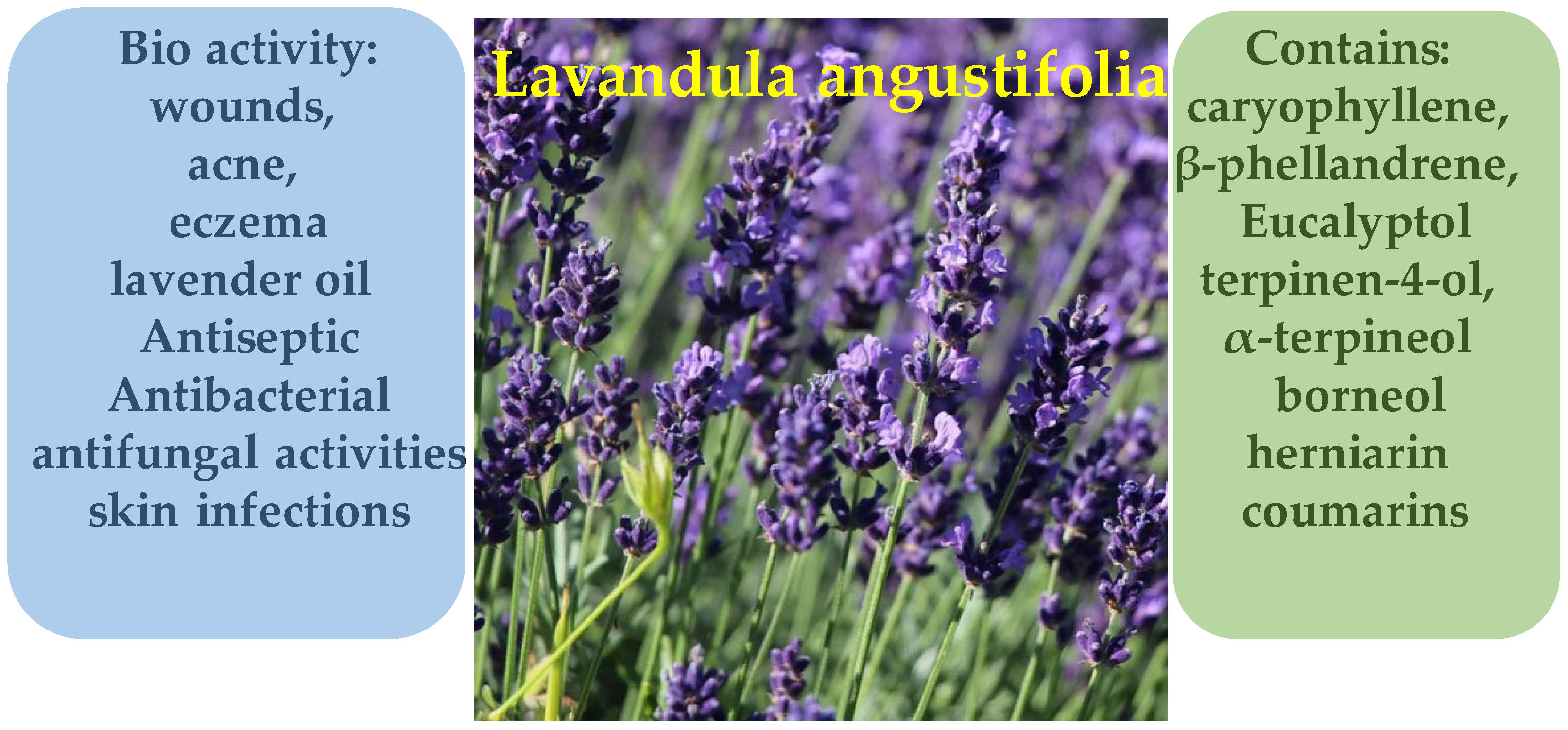 Molecules 30 03281 g020