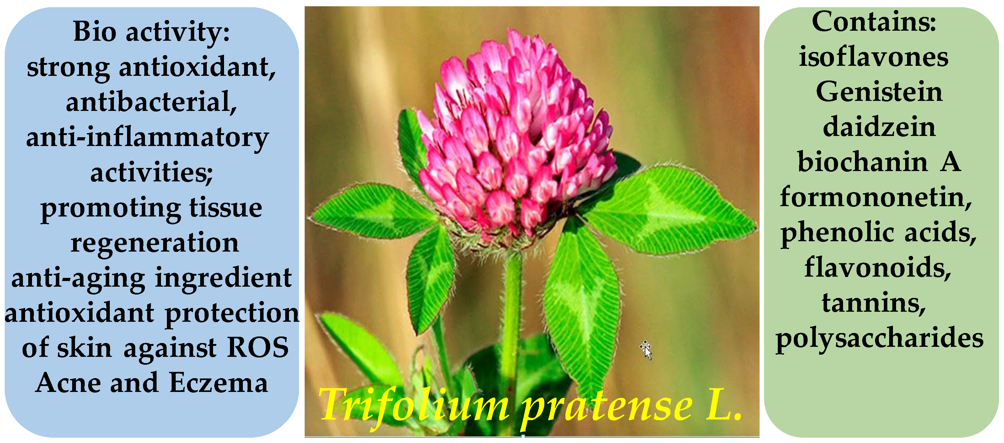 Molecules 30 03281 g023