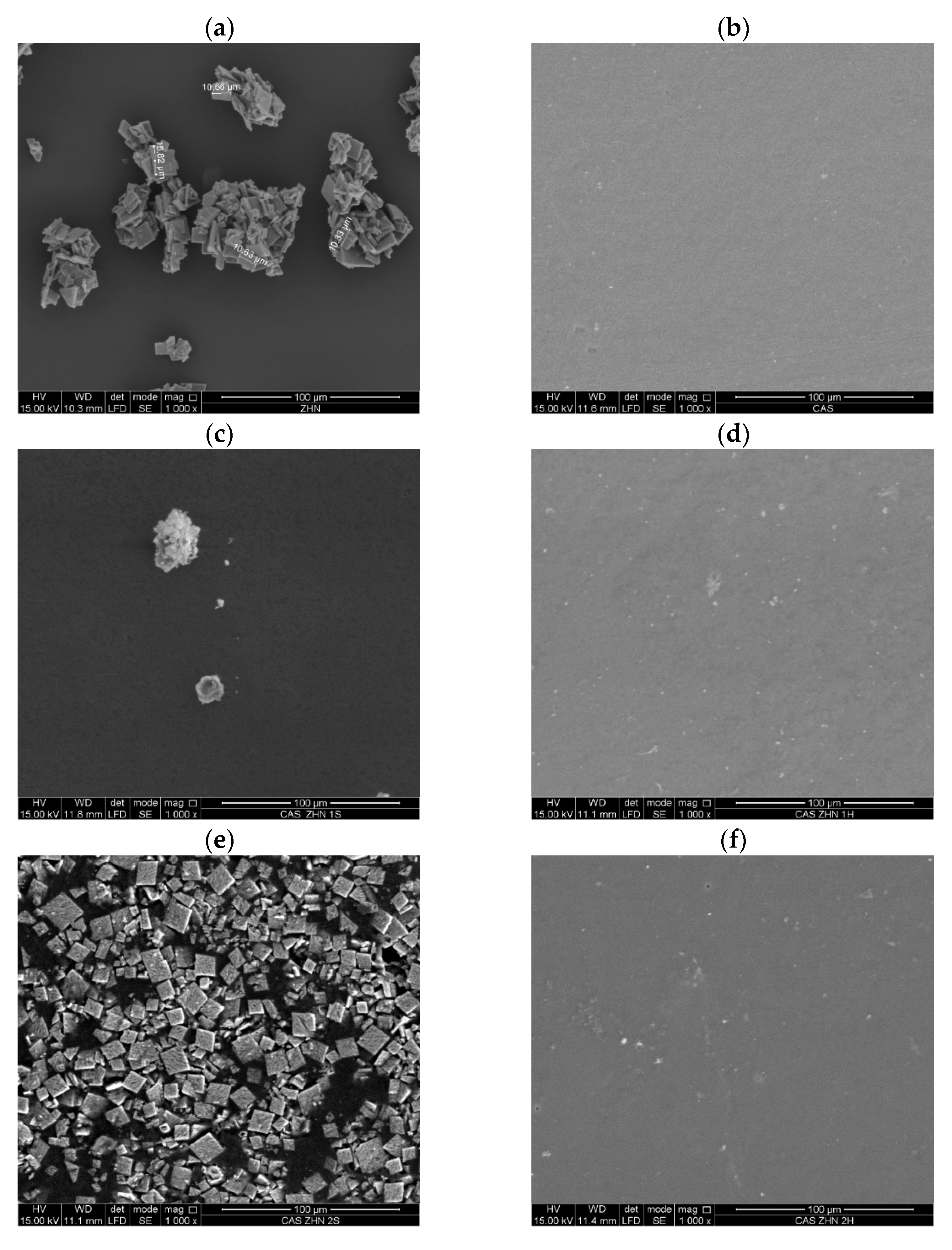 Molecules 30 03307 g002a Molecules 30 03307 g002a