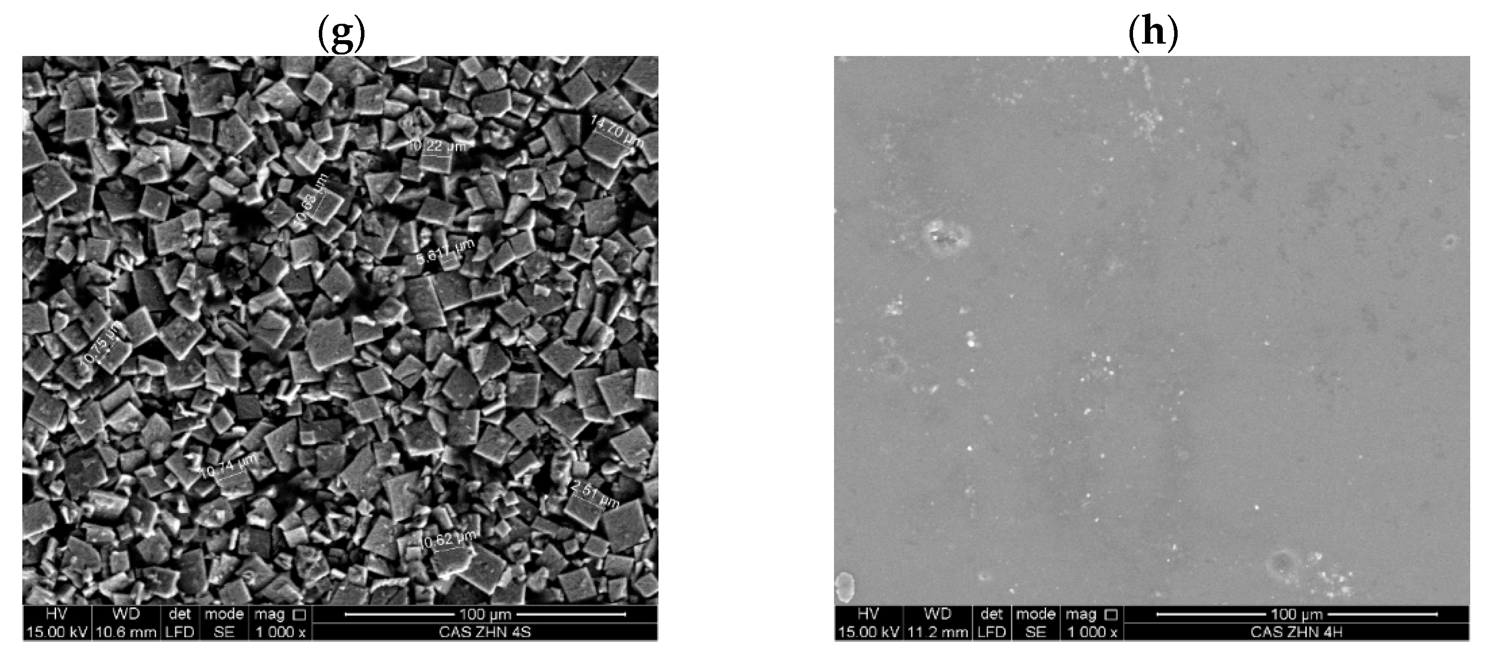 Molecules 30 03307 g002b Molecules 30 03307 g002b