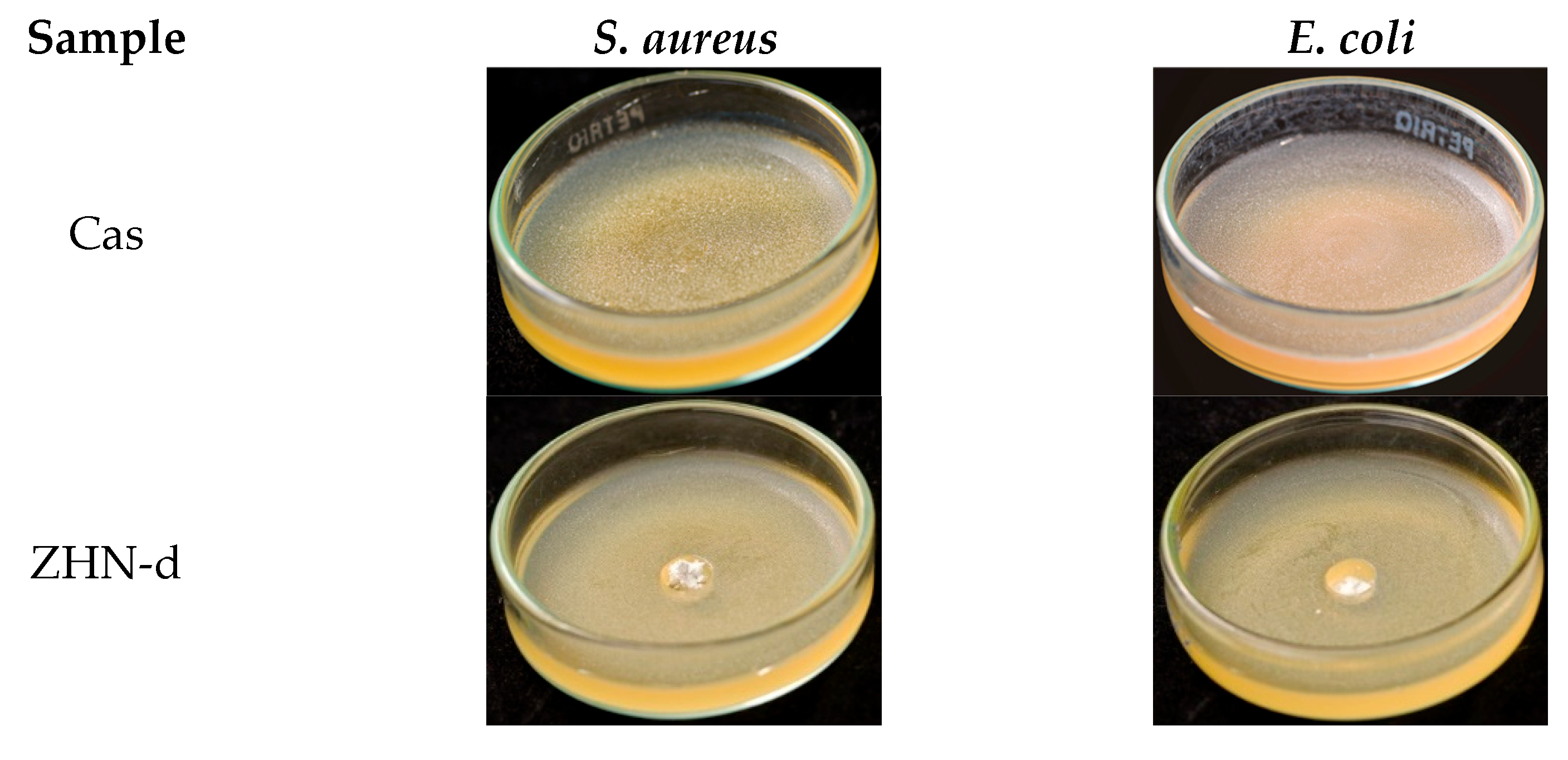 Molecules 30 03307 g006a Molecules 30 03307 g006a
