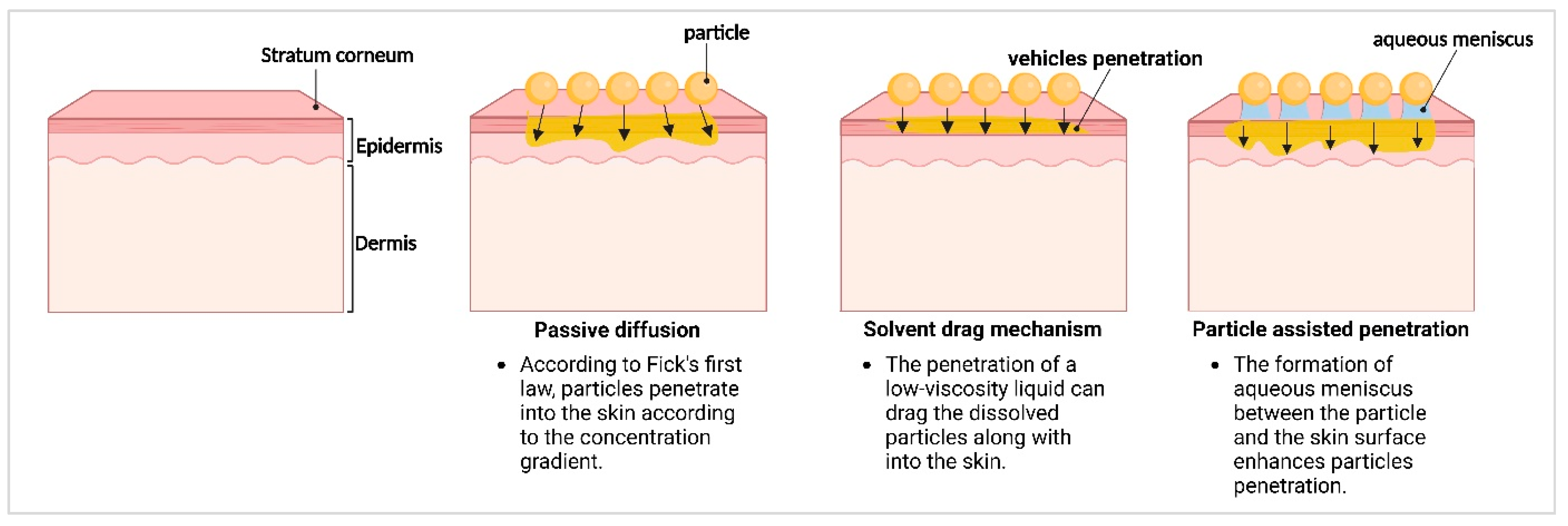 Molecules 30 03308 g003