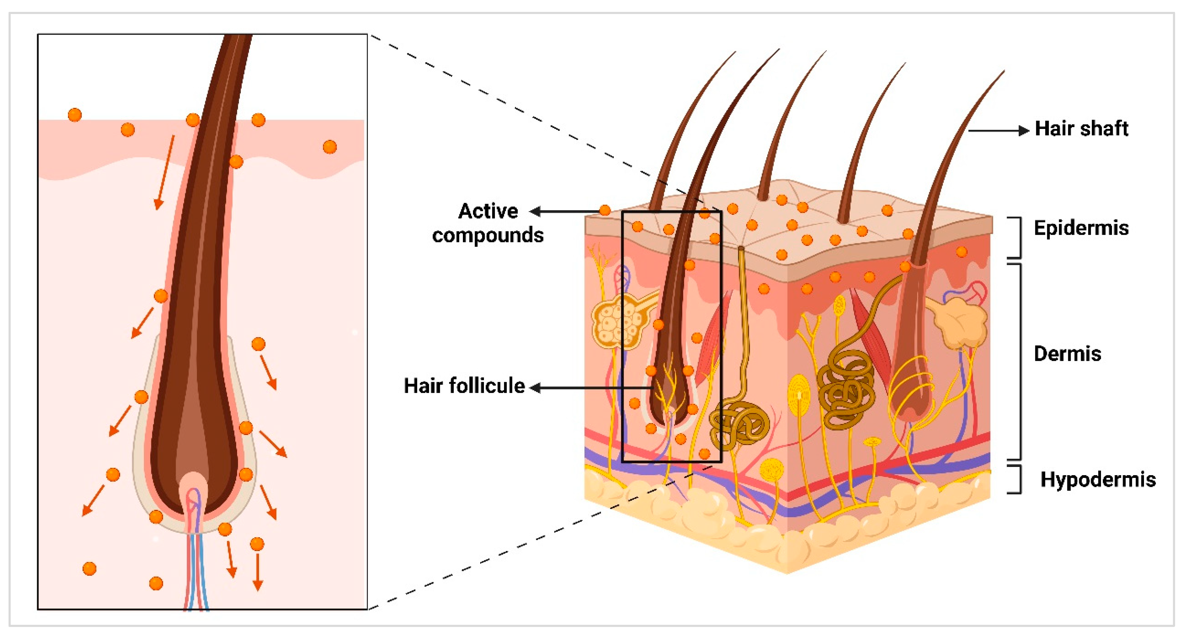Molecules 30 03308 g004