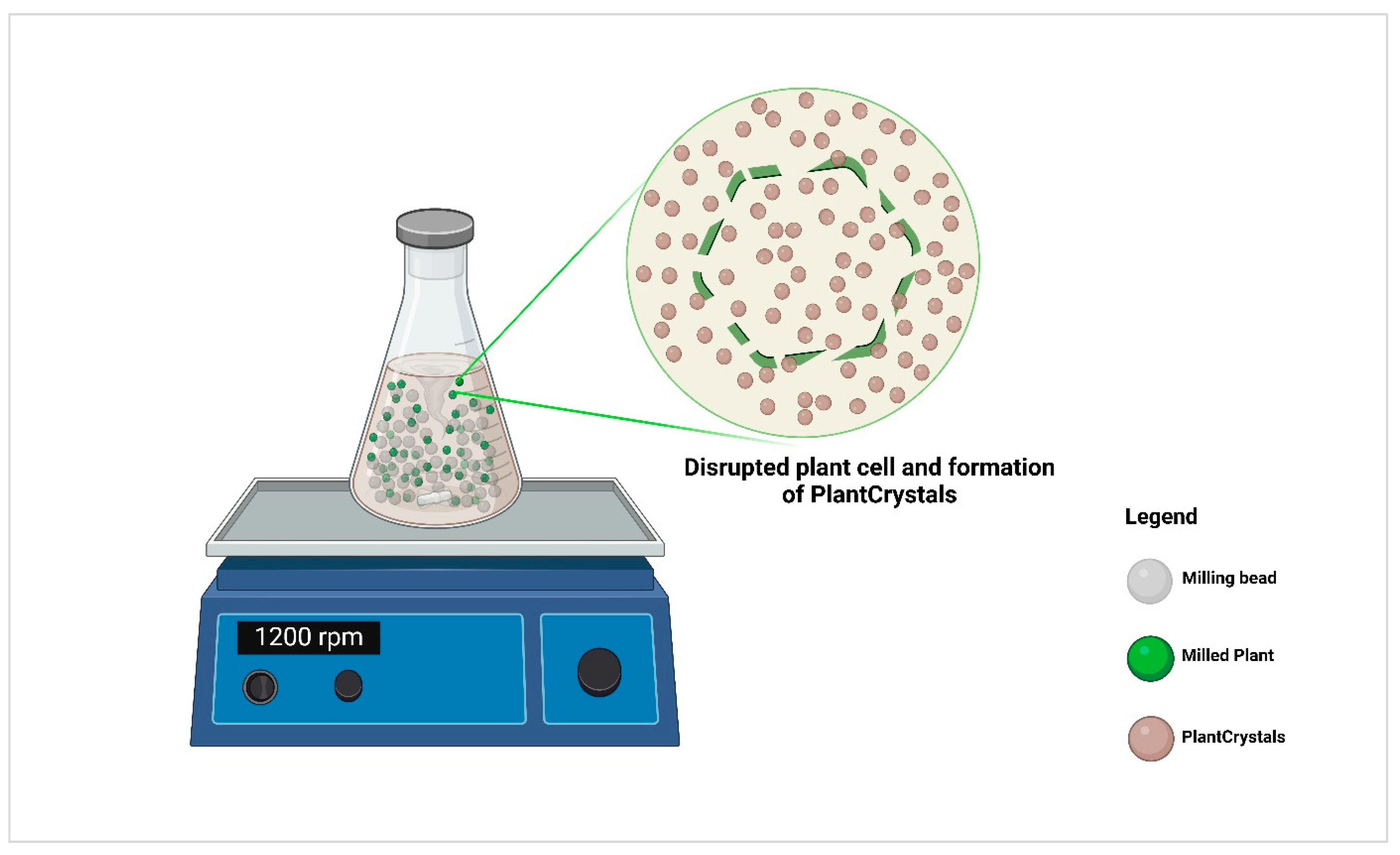 Molecules 30 03308 g007