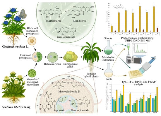 Molecules 30 03321 g001