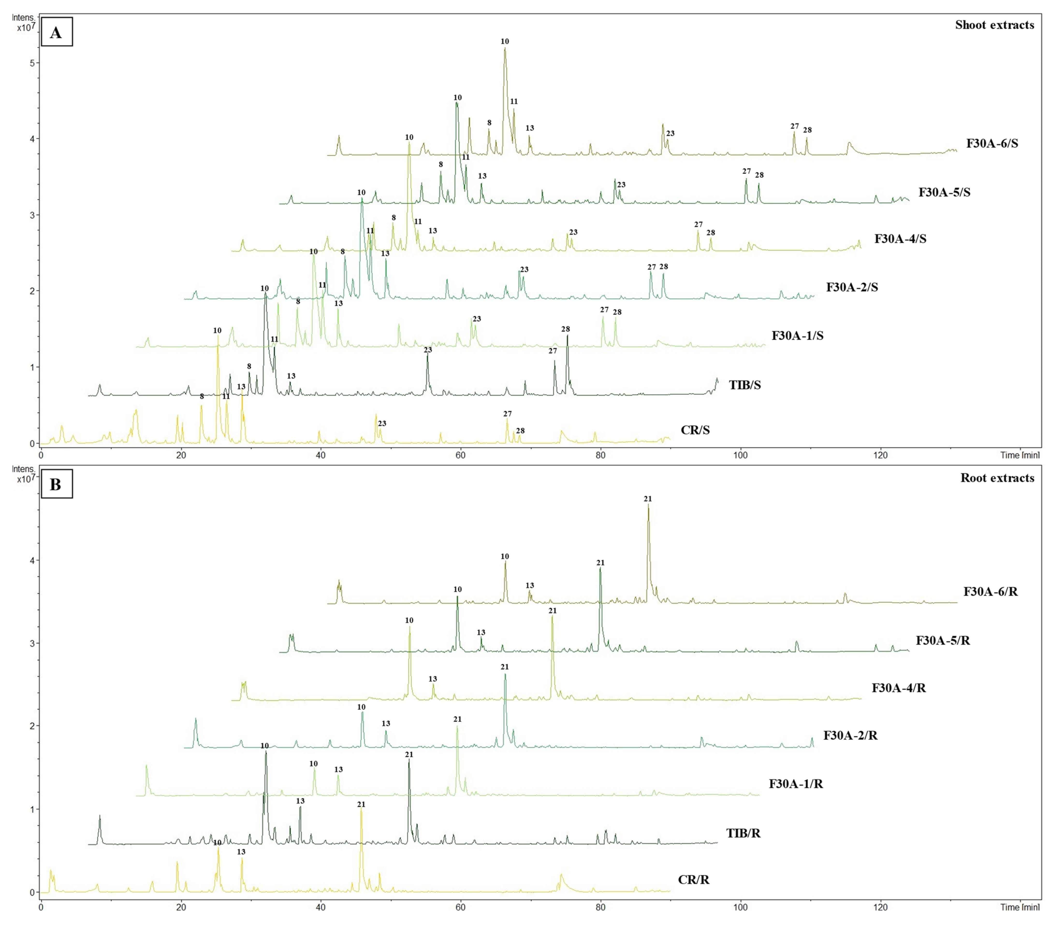 Molecules 30 03321 g004 Molecules 30 03321 g004