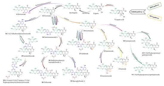Molecules 30 03321 g008