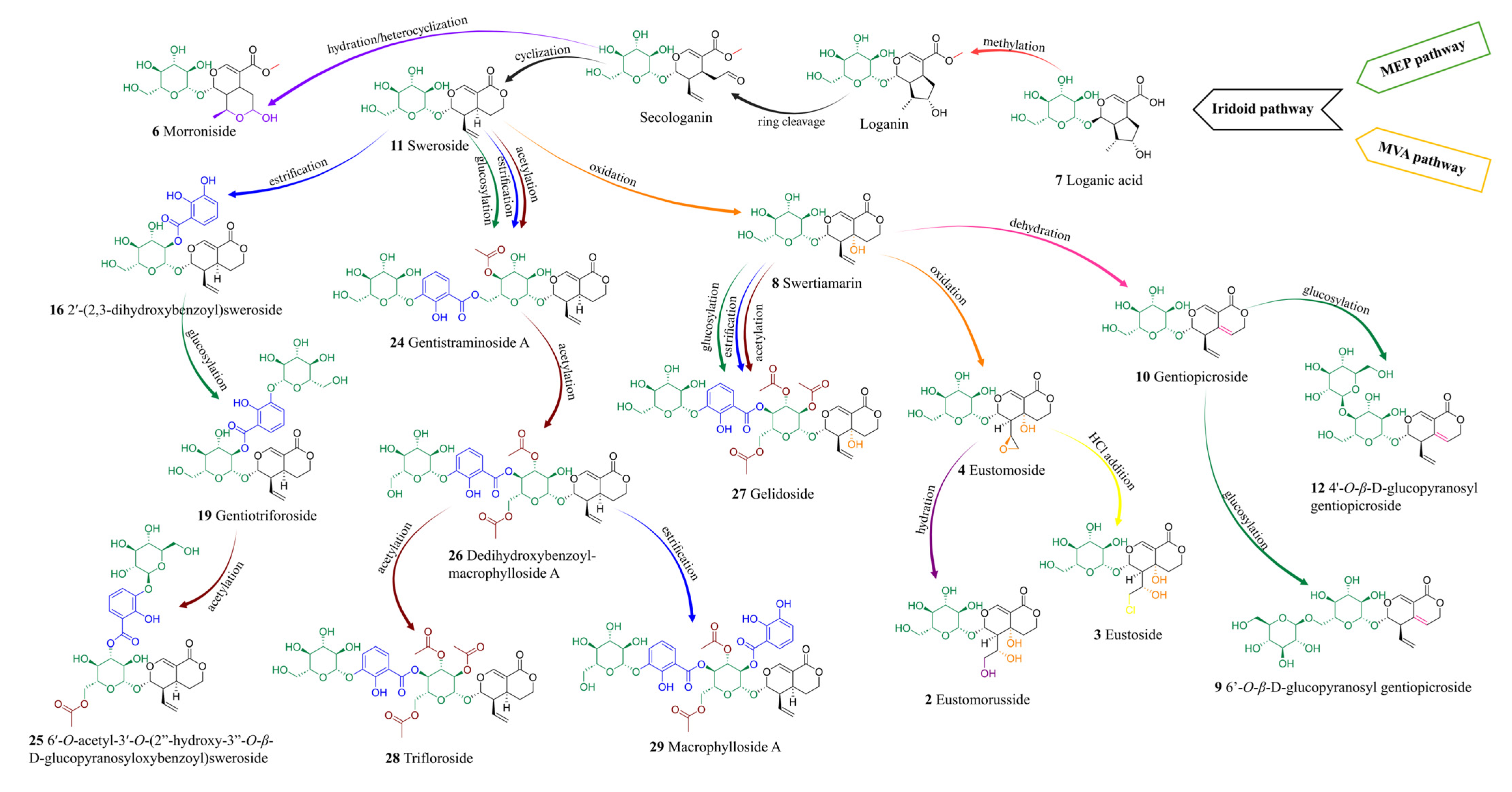 Molecules 30 03321 g008 Molecules 30 03321 g008