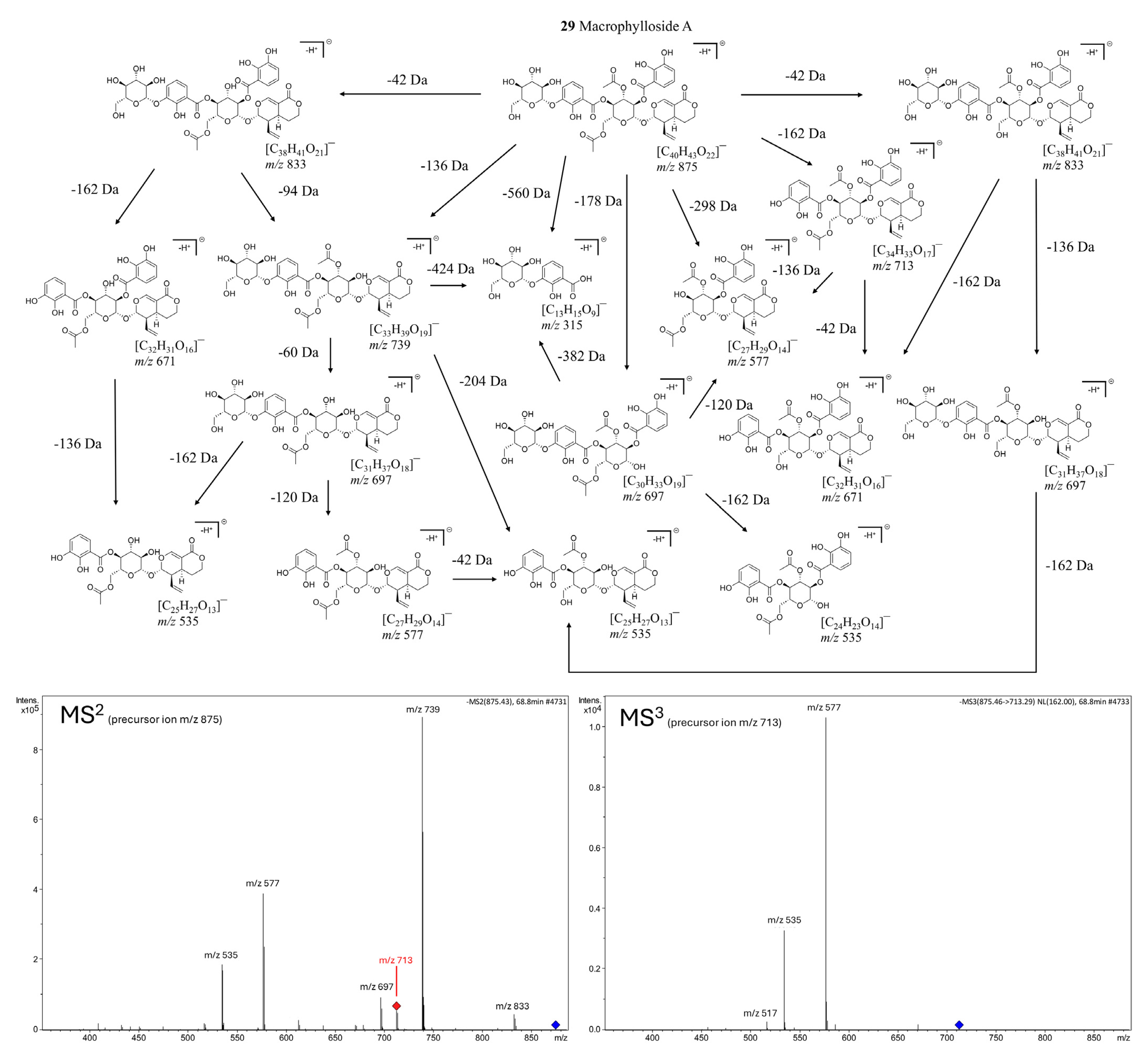 Molecules 30 03321 g009 Molecules 30 03321 g009