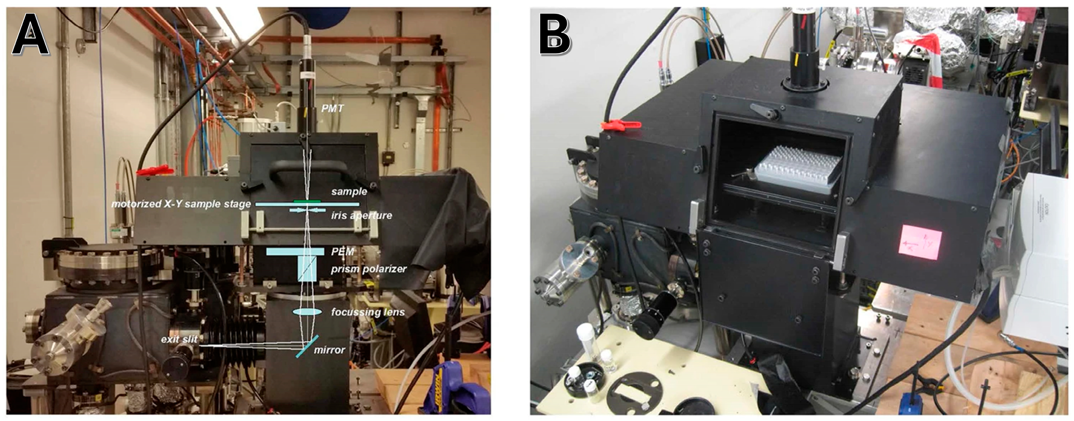 Molecules 30 03322 g002 Molecules 30 03322 g002