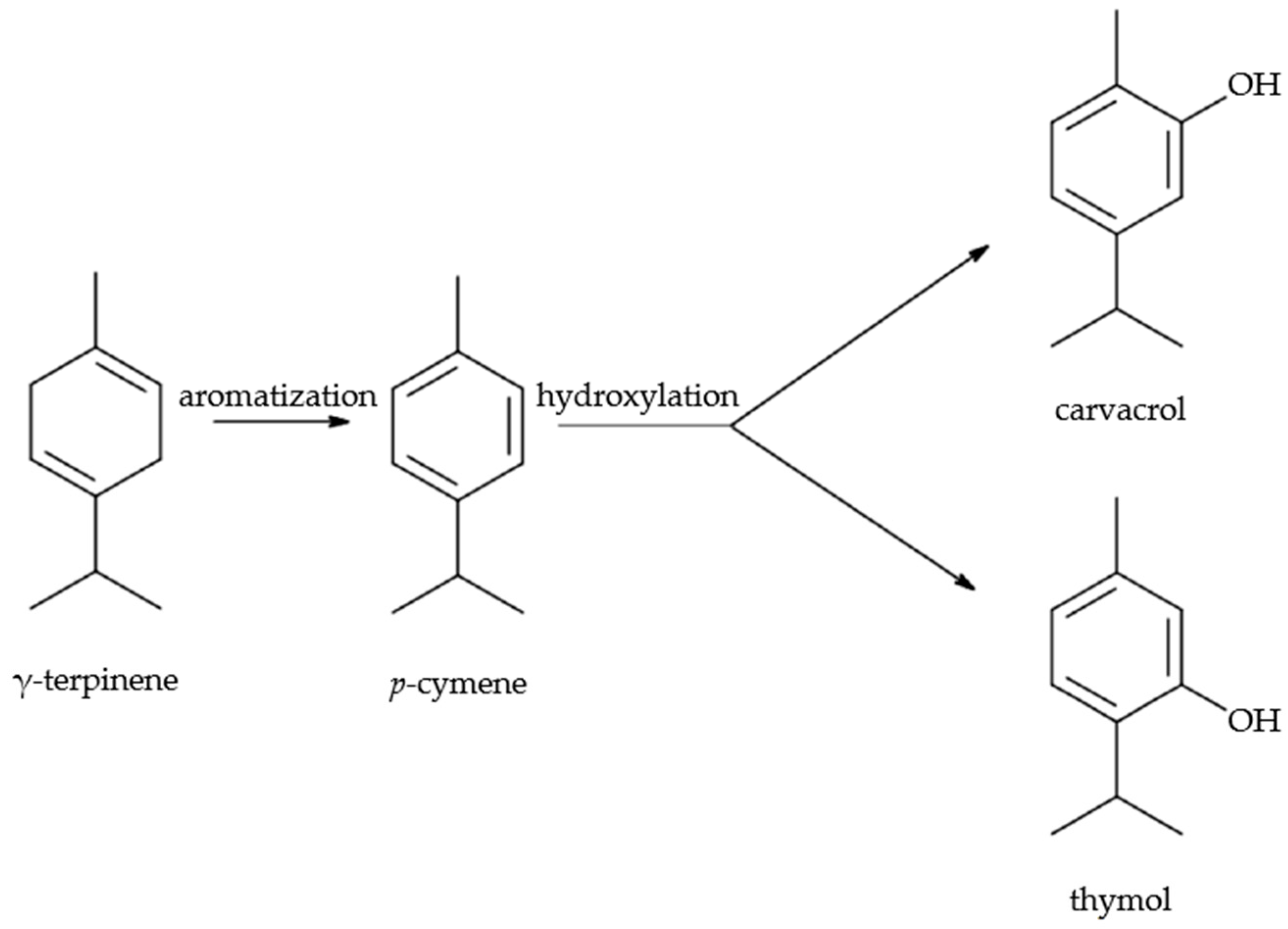 Molecules 30 03329 g001