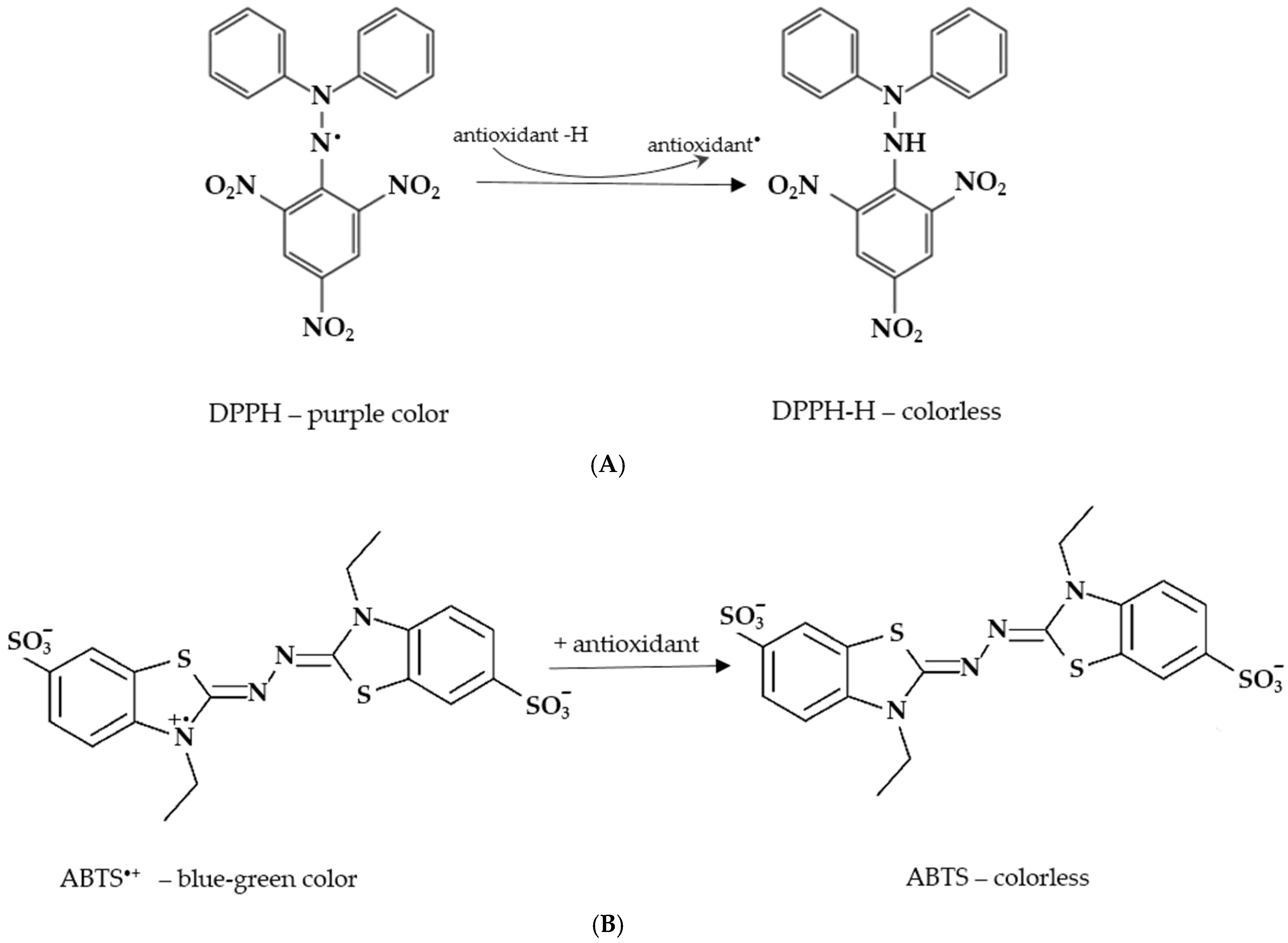 Molecules 30 03329 g002