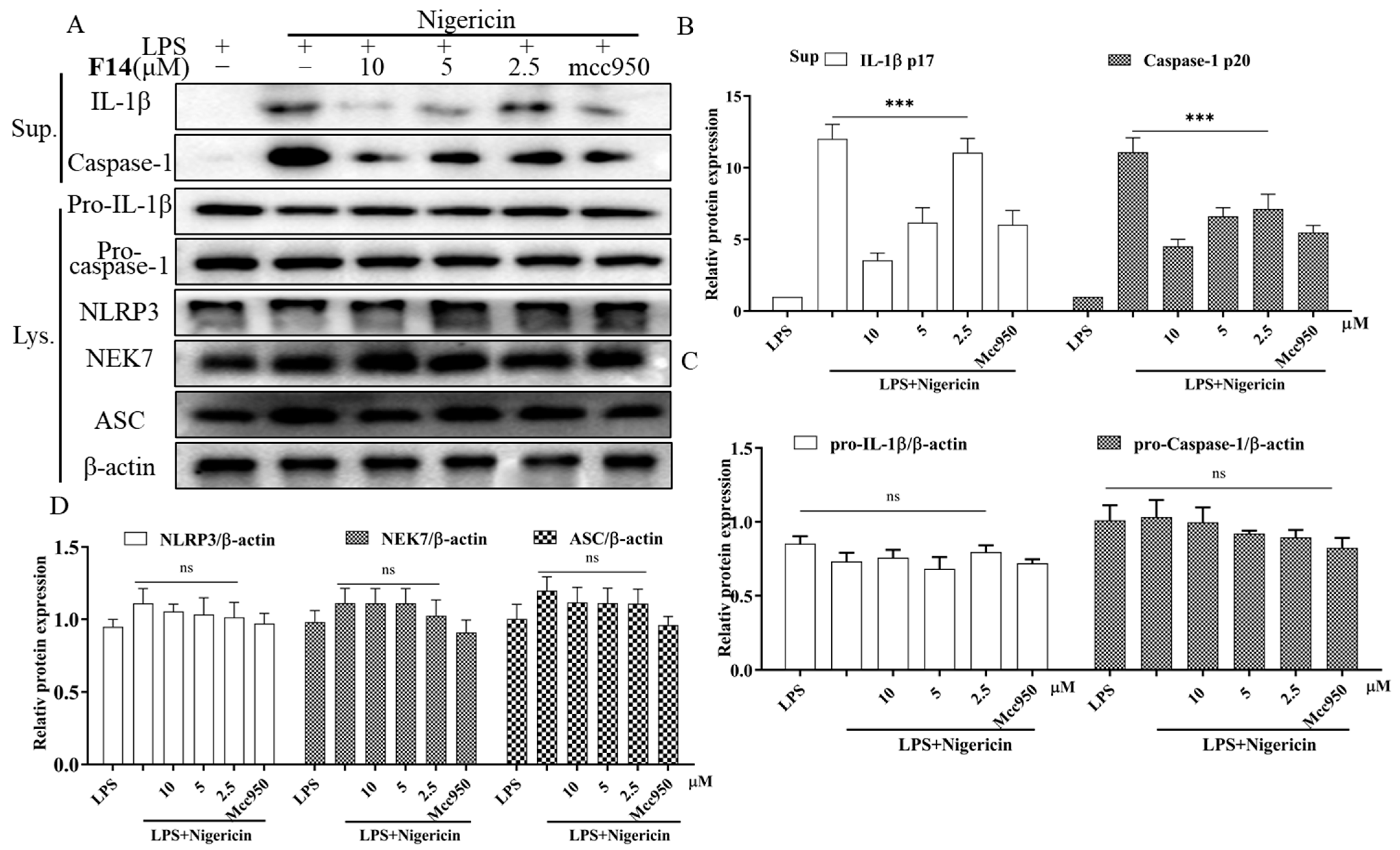 Molecules 30 03340 g006