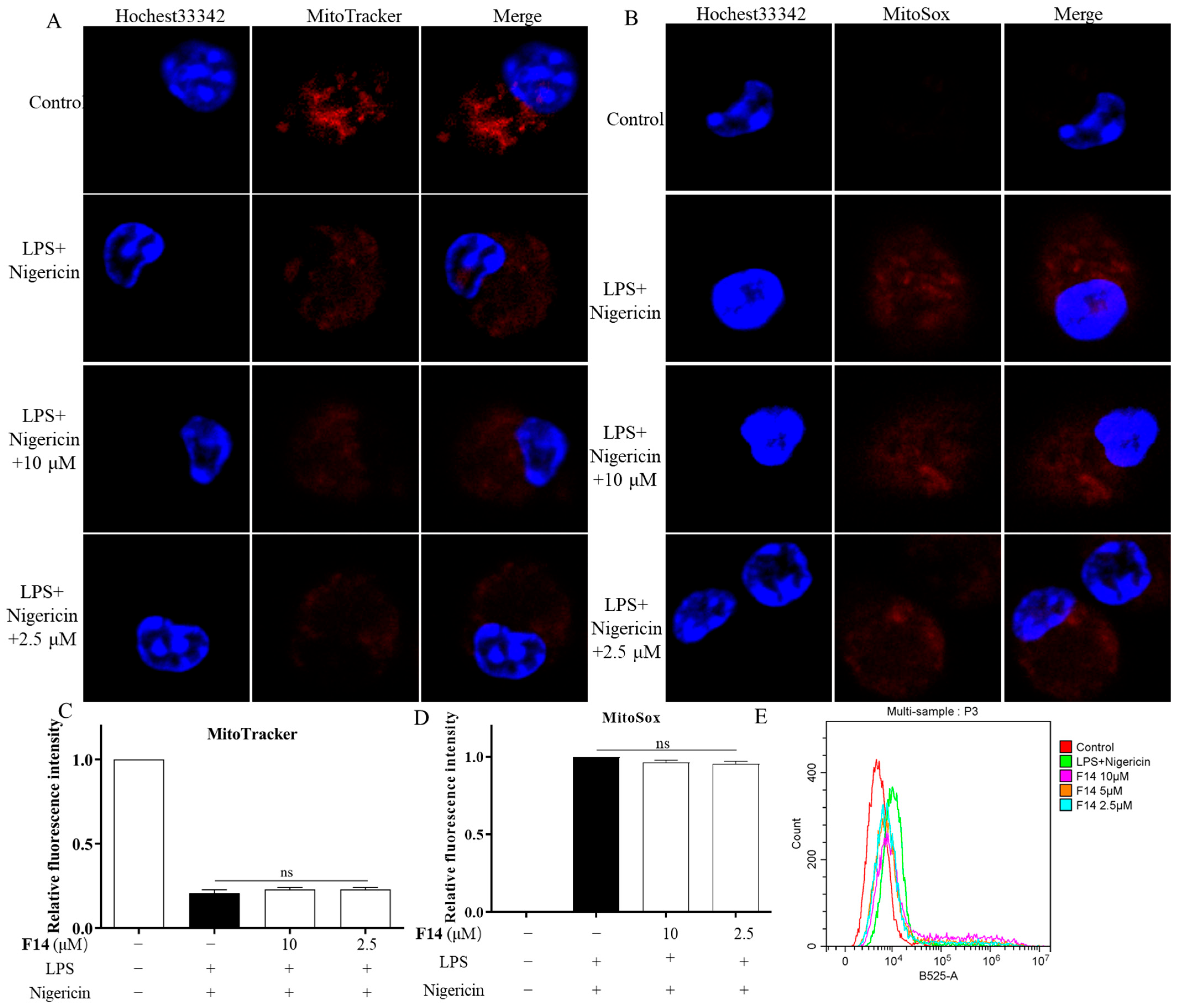 Molecules 30 03340 g007