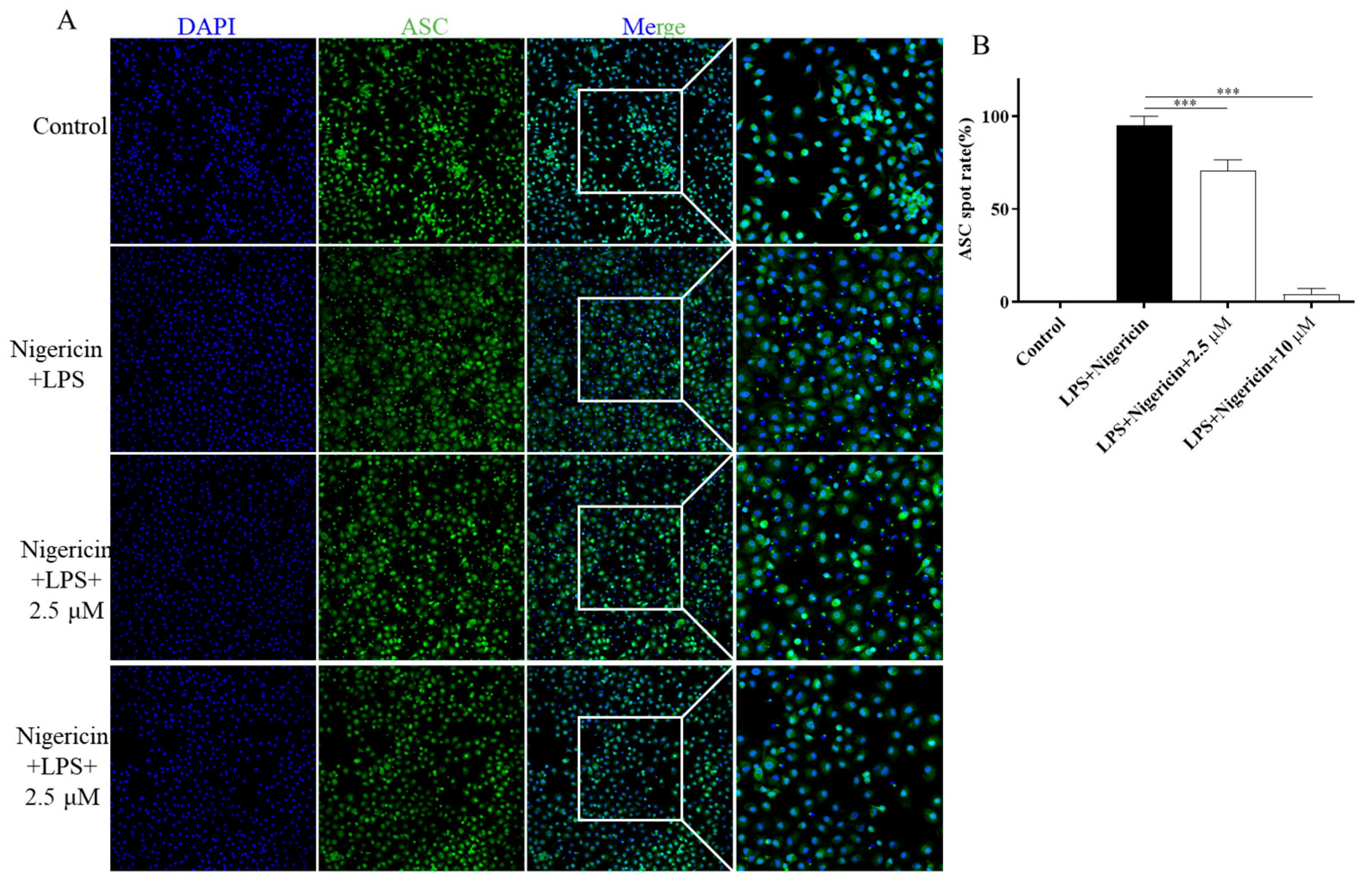 Molecules 30 03340 g008