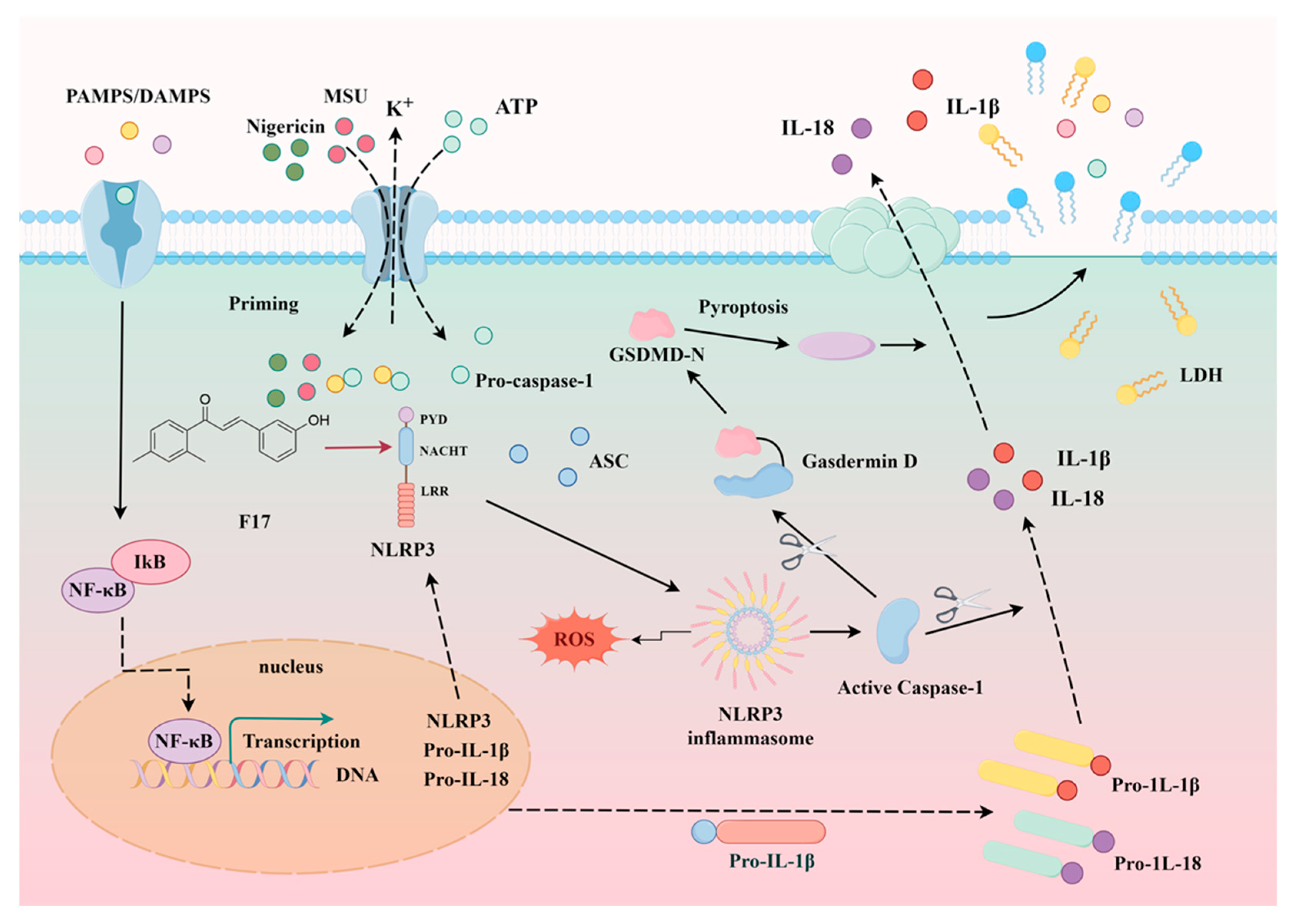 Molecules 30 03340 g011