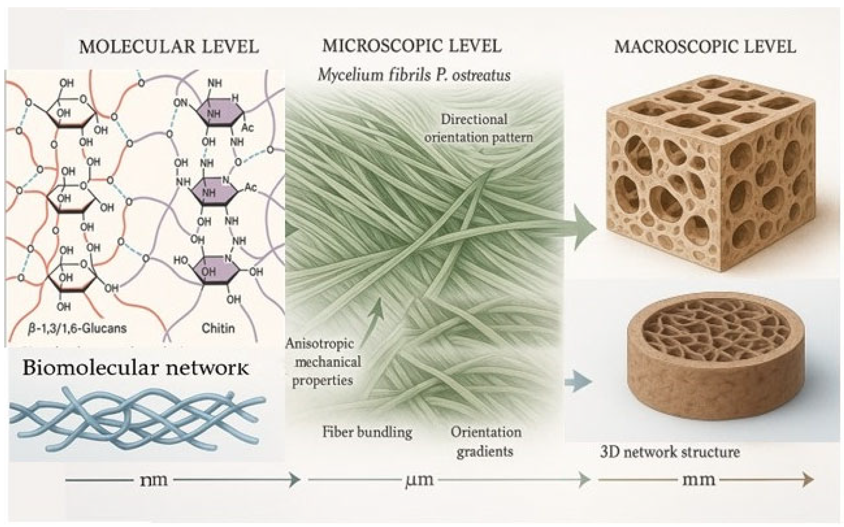 Molecules 30 03350 g001