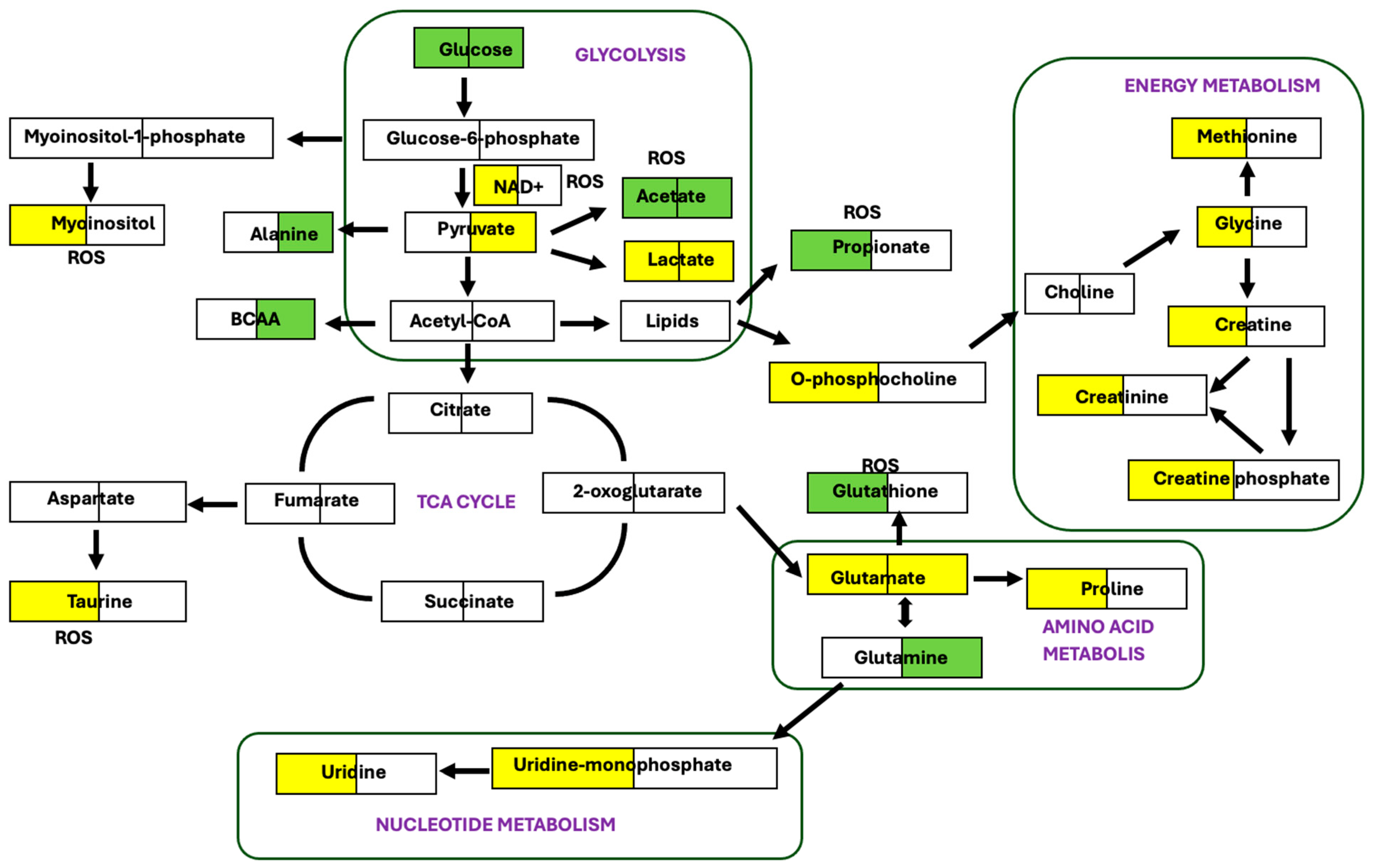Molecules 30 03352 g006