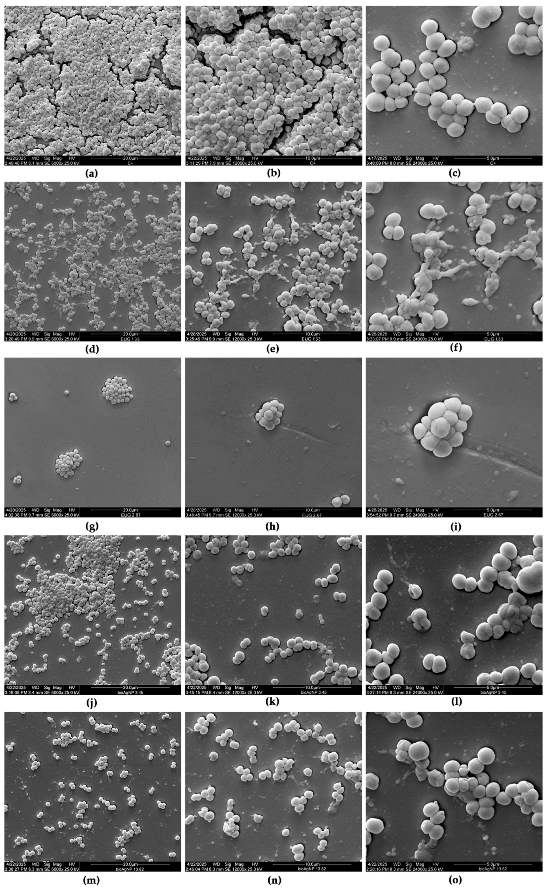 Molecules 30 03353 g006 Molecules 30 03353 g006