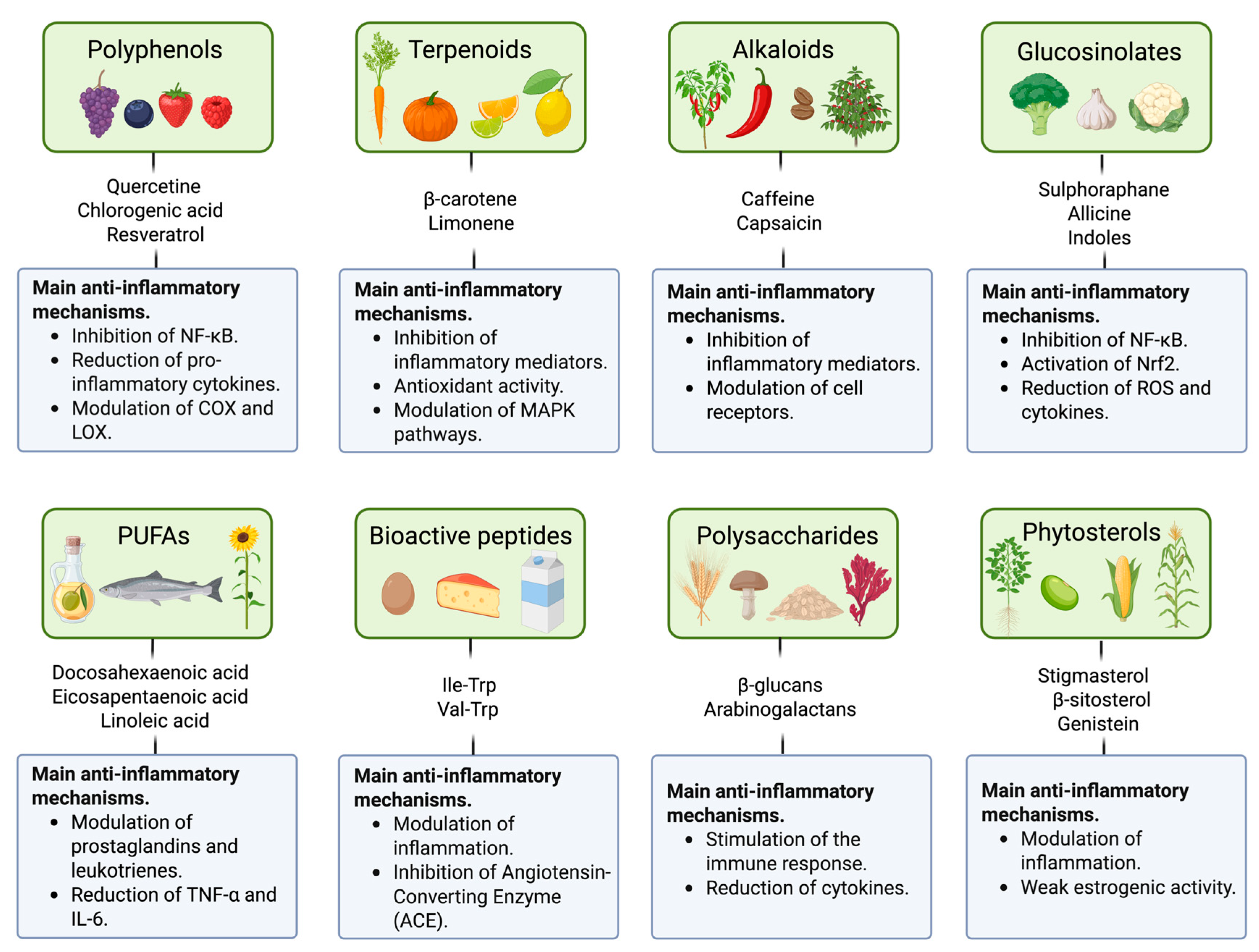 Molecules 30 03357 g001