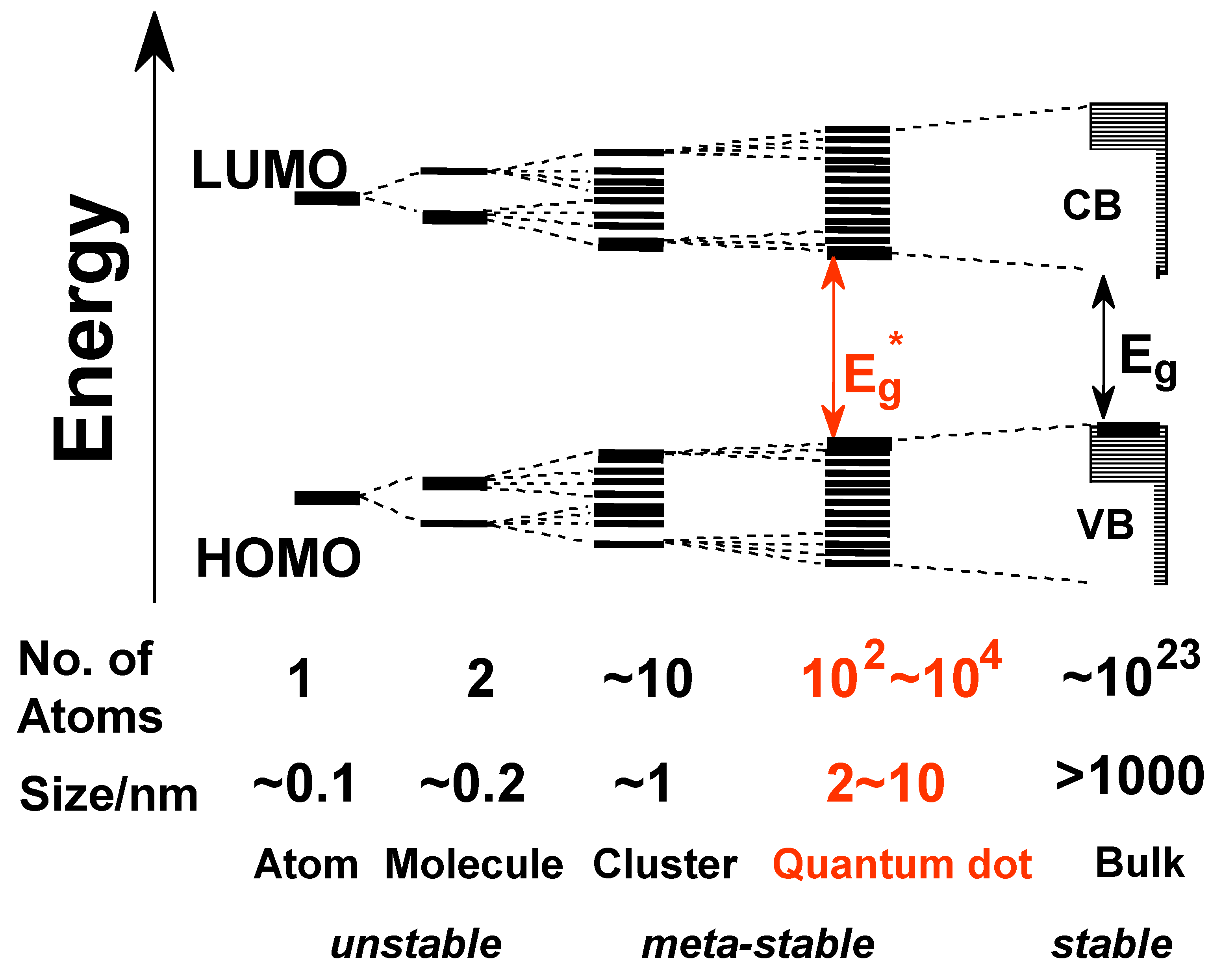 Molecules 30 03369 g001 Molecules 30 03369 g001