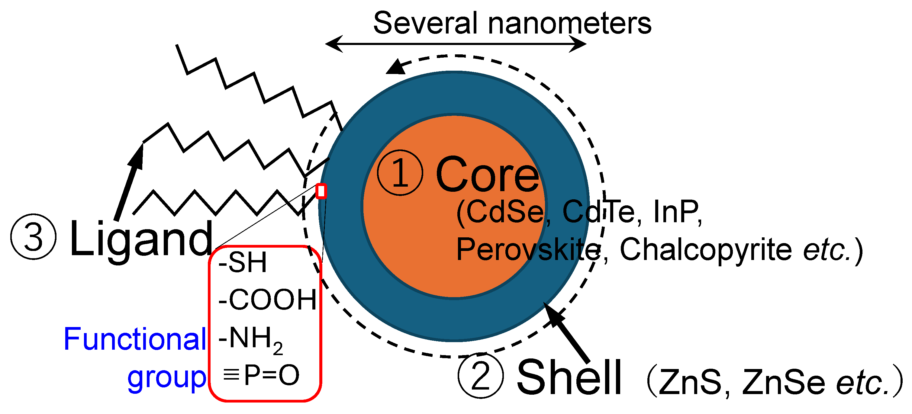 Molecules 30 03369 g003 Molecules 30 03369 g003