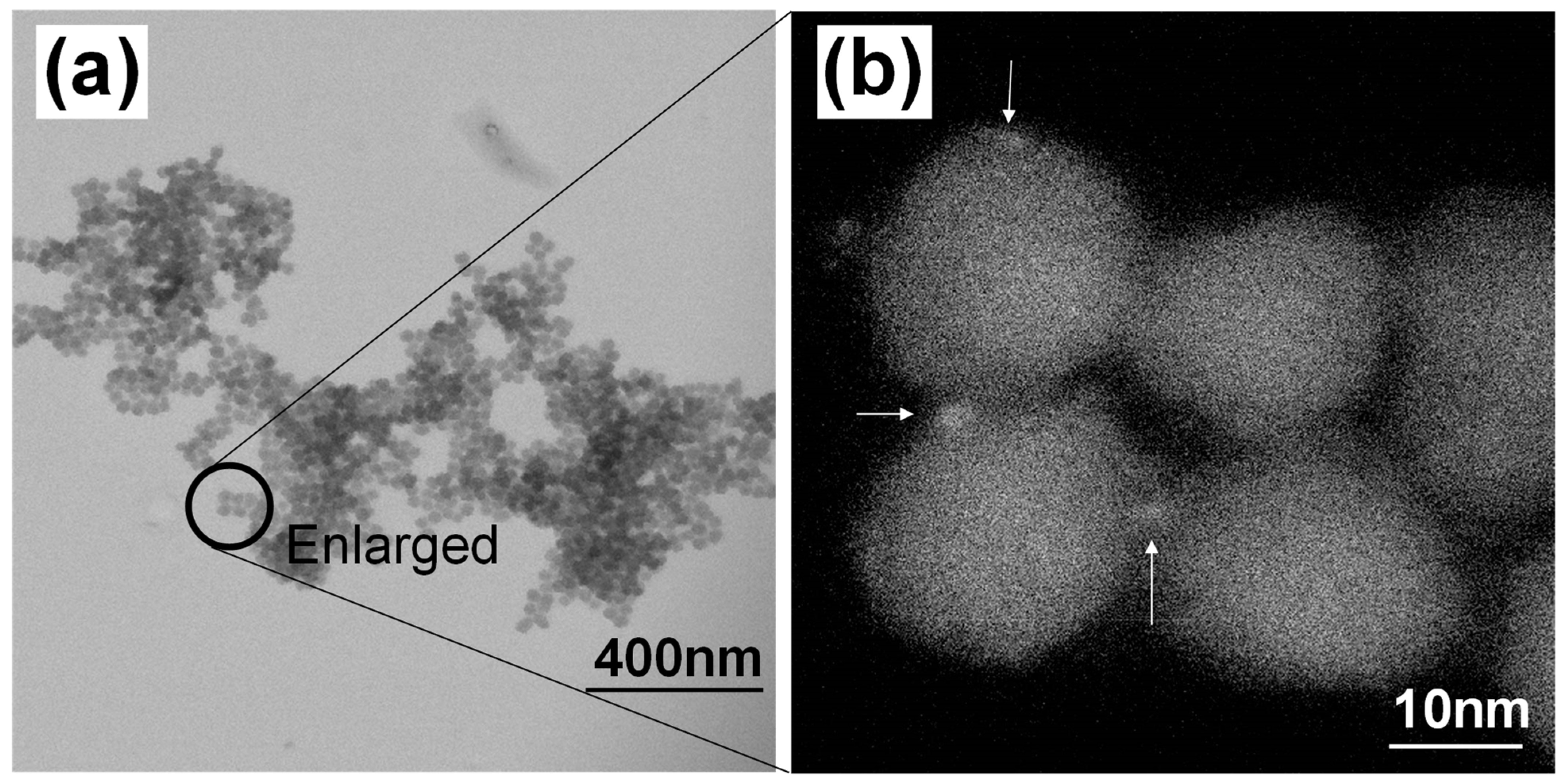 Molecules 30 03369 g006 Molecules 30 03369 g006