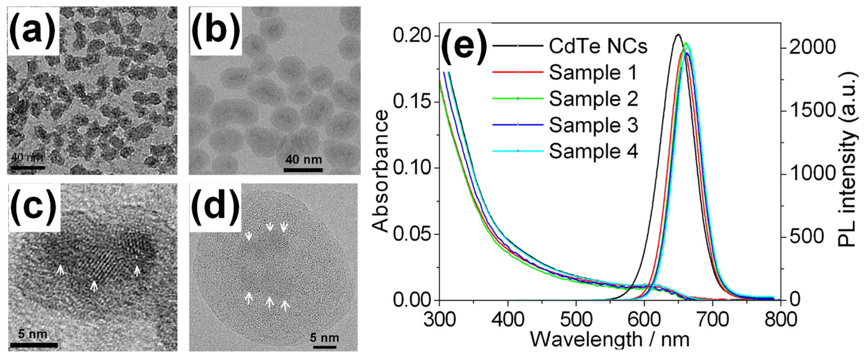 Molecules 30 03369 g007 Molecules 30 03369 g007