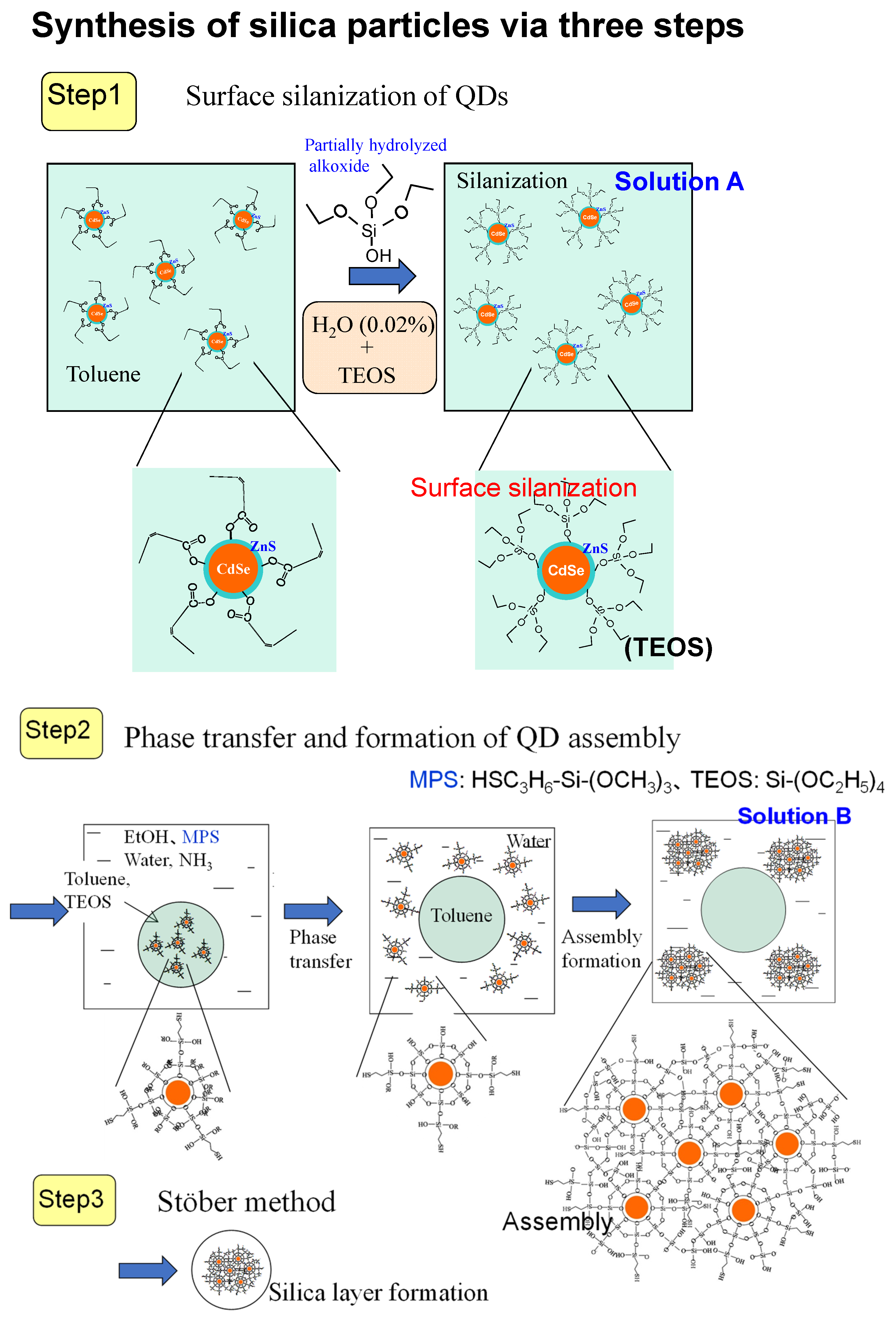 Molecules 30 03369 g008 Molecules 30 03369 g008