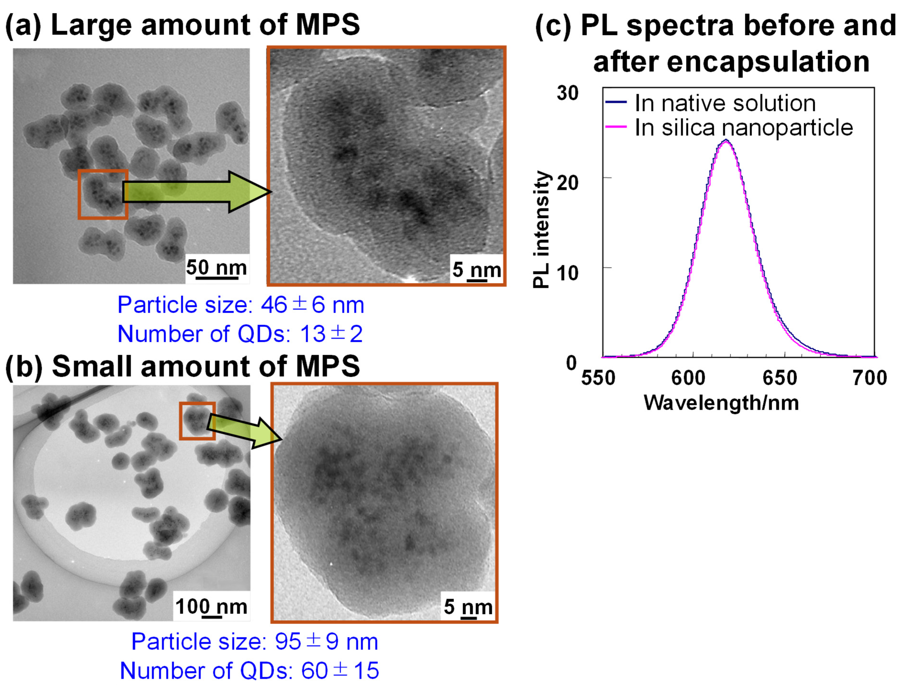 Molecules 30 03369 g009 Molecules 30 03369 g009