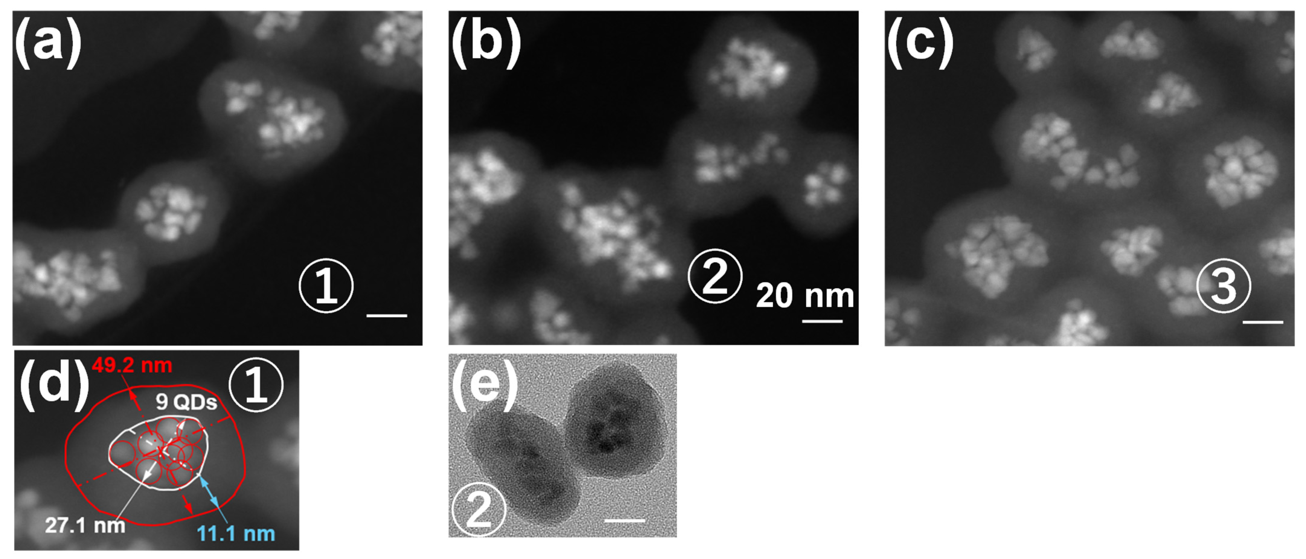 Molecules 30 03369 g014 Molecules 30 03369 g014