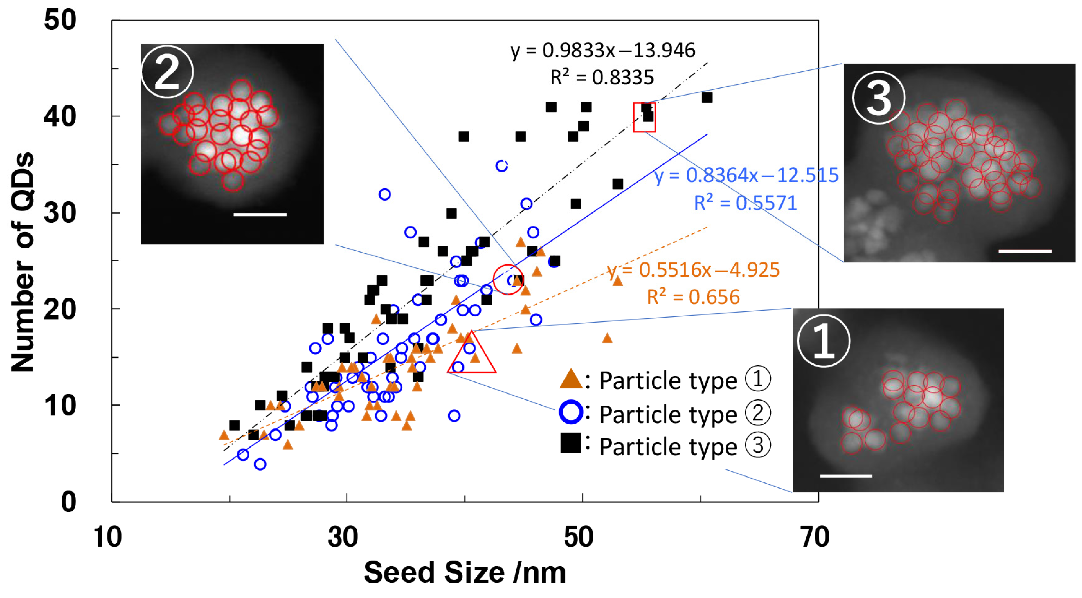 Molecules 30 03369 g015 Molecules 30 03369 g015