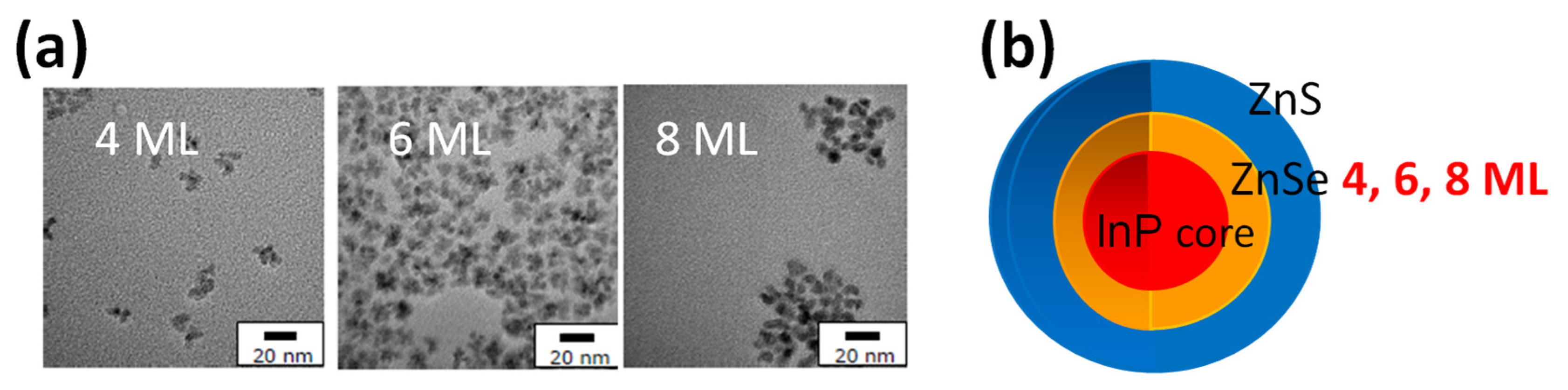 Molecules 30 03369 g017 Molecules 30 03369 g017