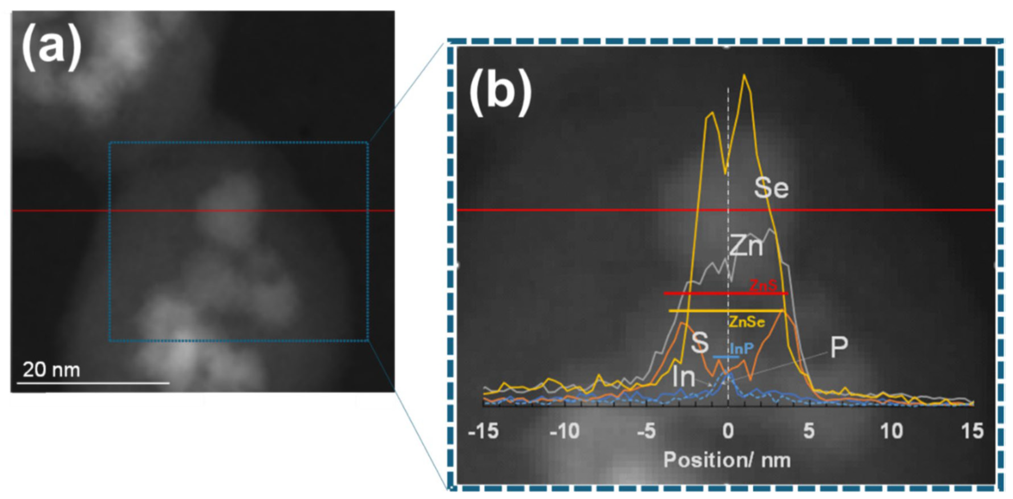 Molecules 30 03369 g018 Molecules 30 03369 g018