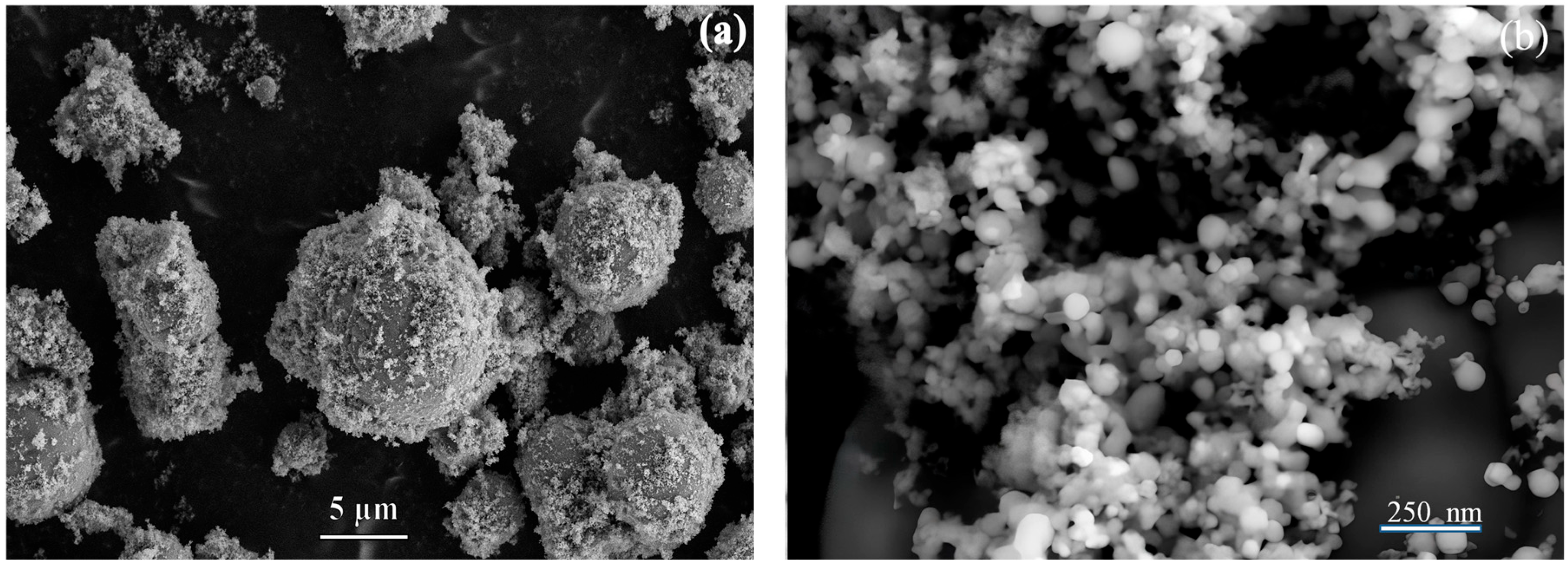 Molecules 30 03371 g001