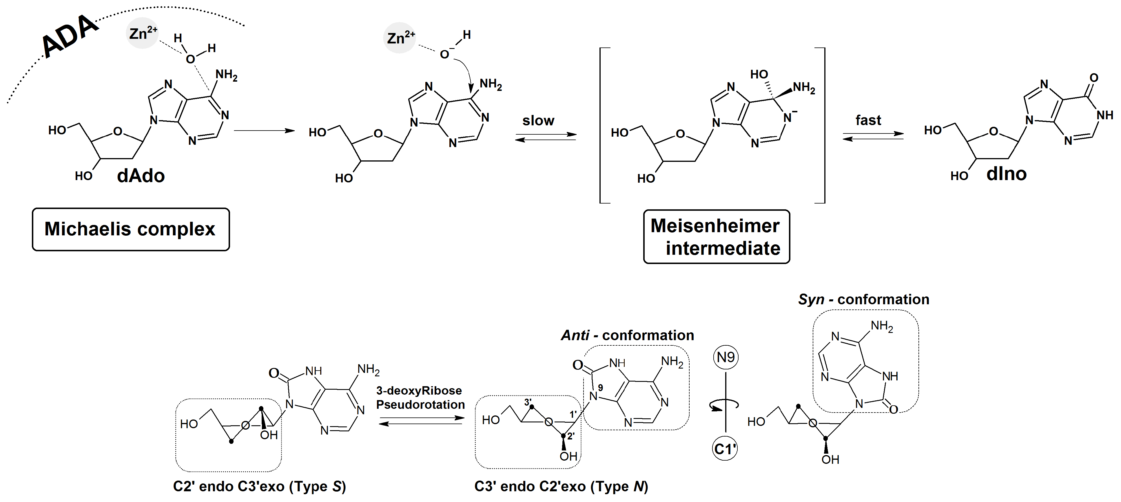 Molecules 30 03377 g006a
