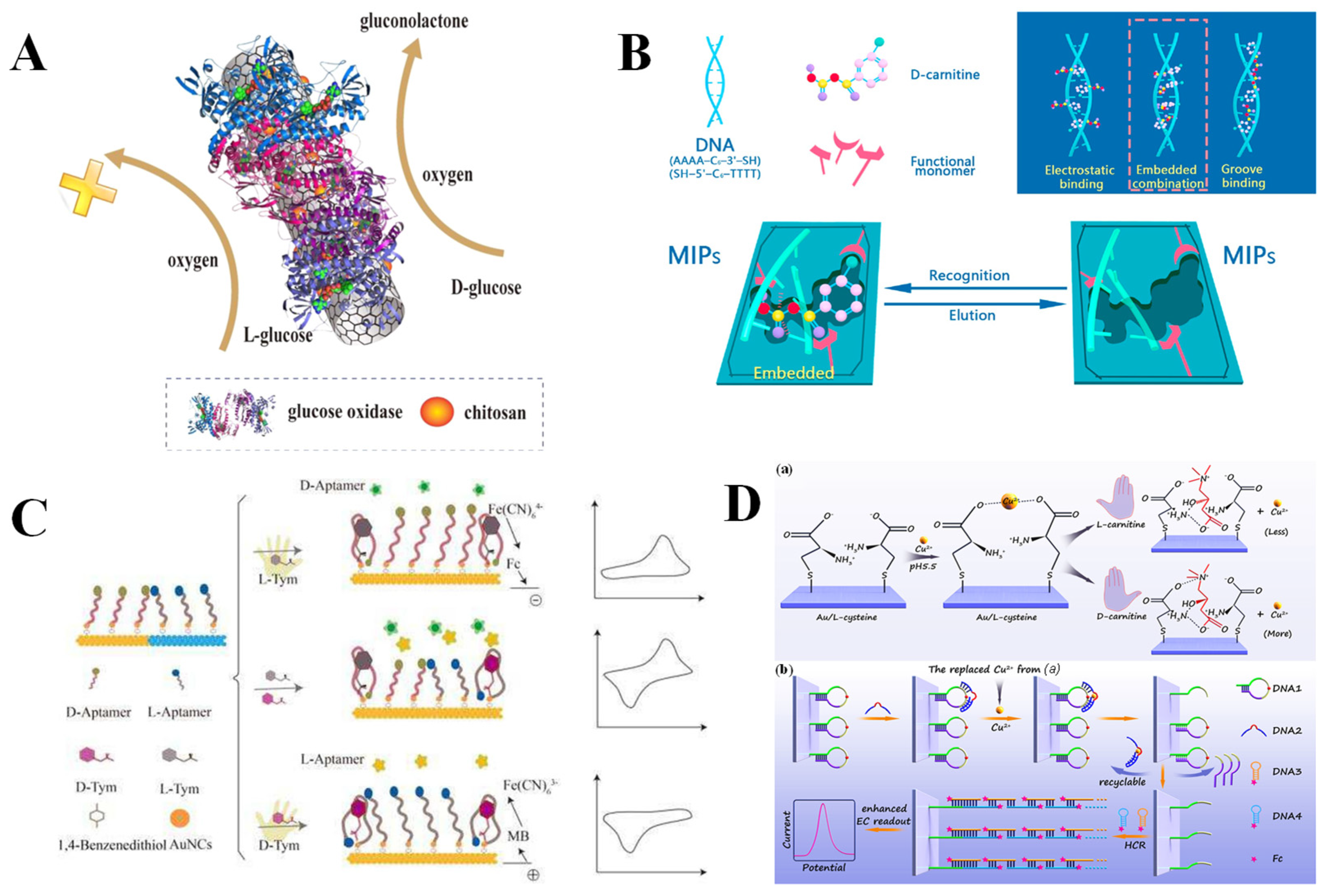Molecules 30 03386 g007