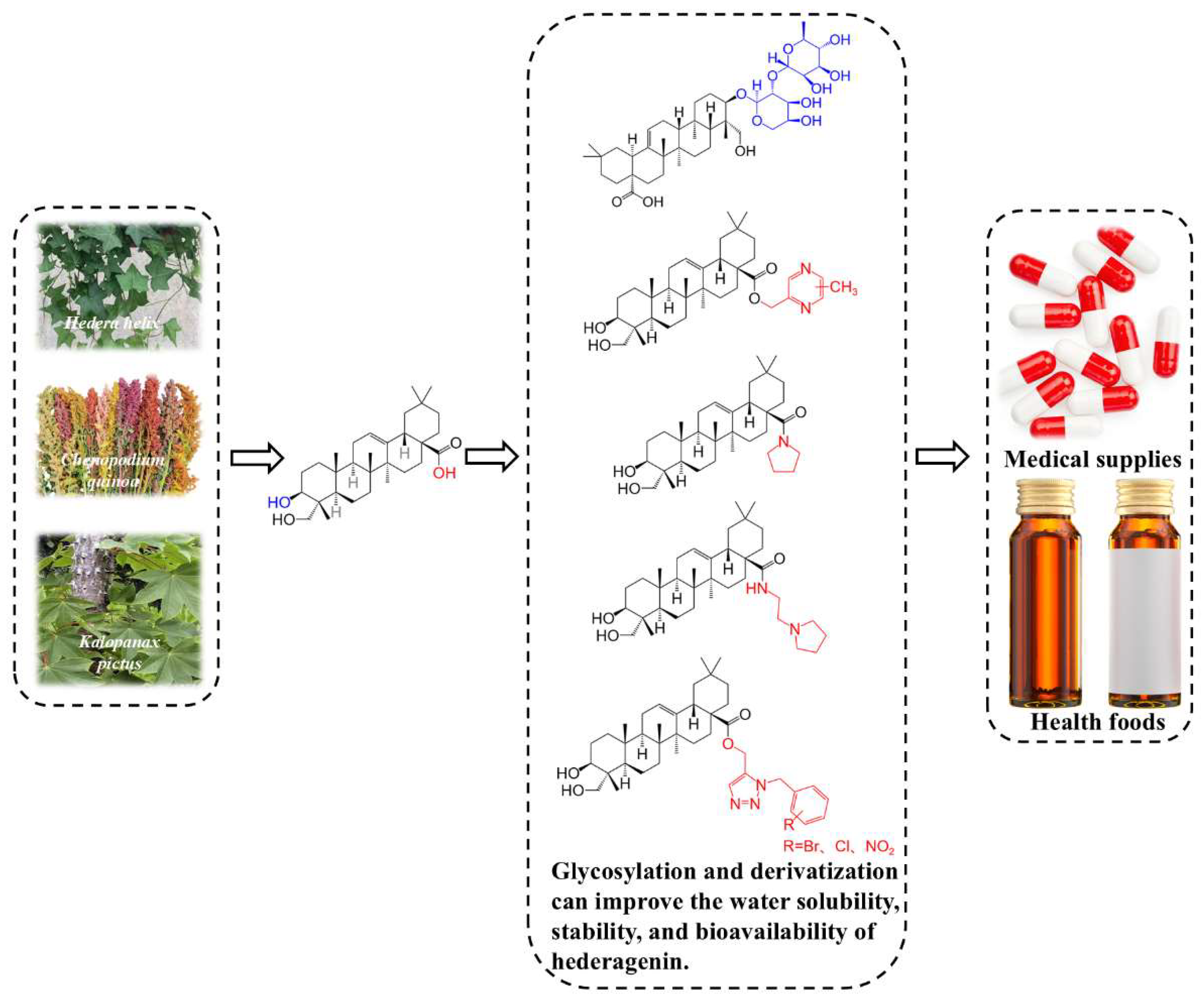 Molecules 30 03393 g001